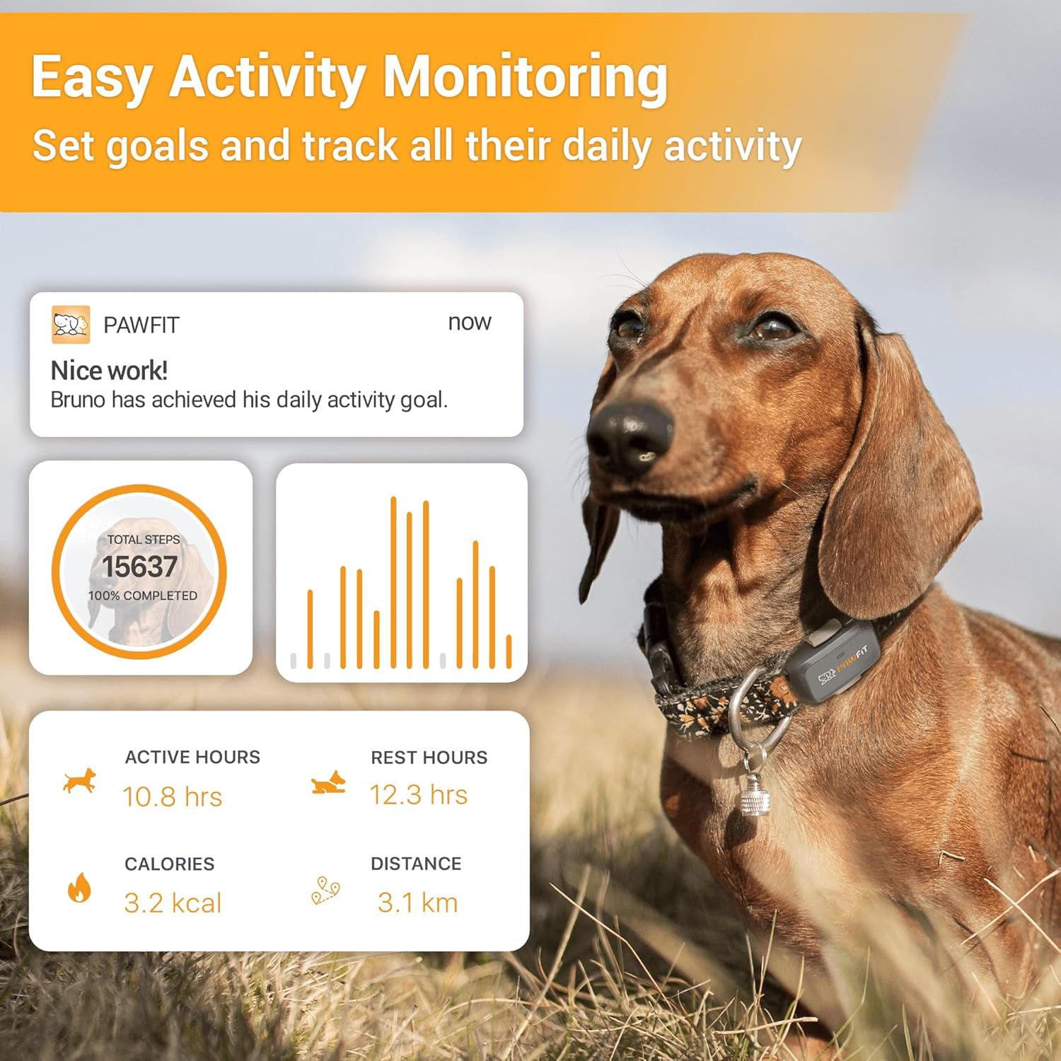 Pawfit Lite for Small Dogs 4G GPS Tracker | Real Time Tracking | Activity Monitoring |Location History | Unlimited Range | Charcoal Grey image number 2
