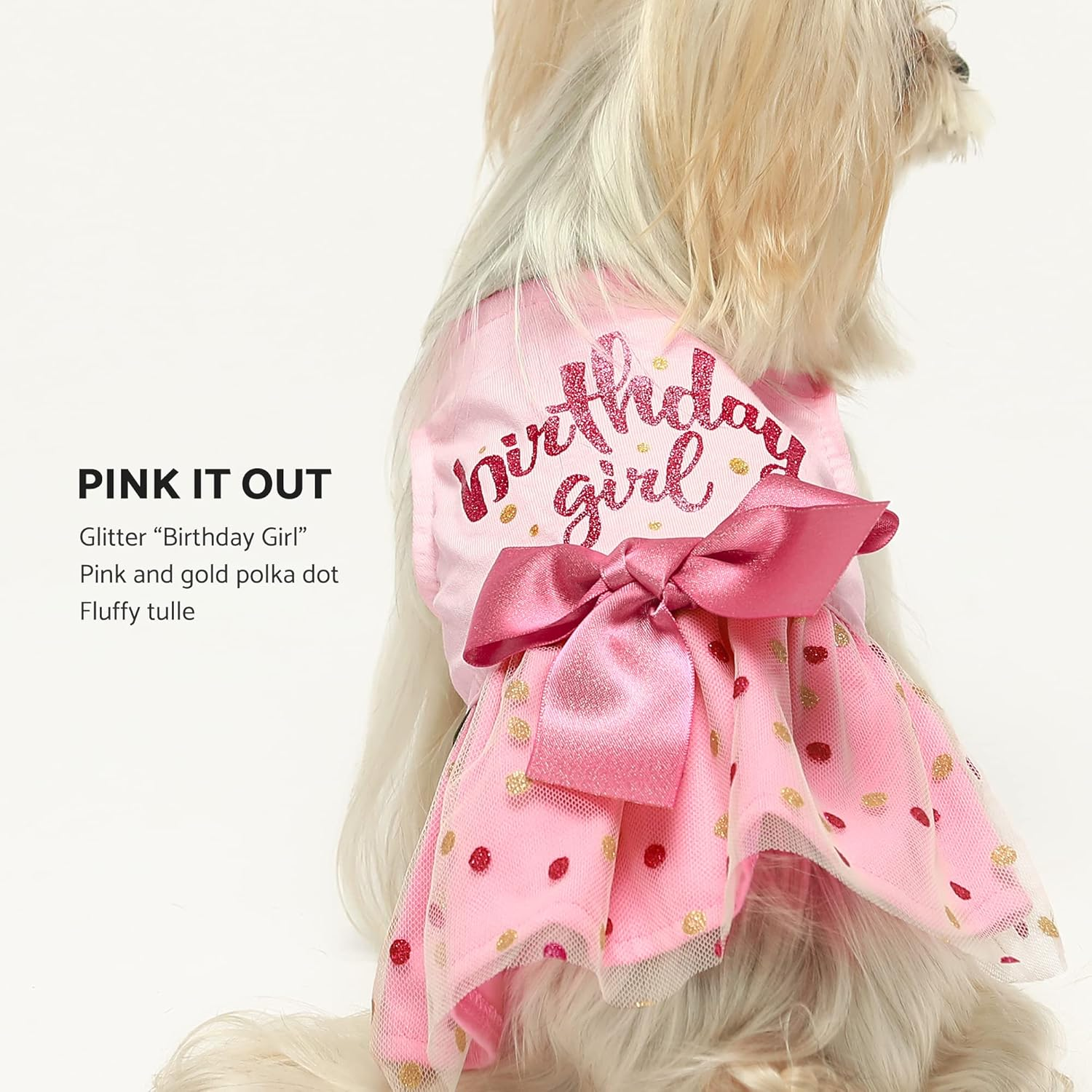 Fitwarm Birthday Girl Dog Tulle Dress, Dog Clothes for Small Dogs Girl, Cat Apparel, Pink, Large image number 2