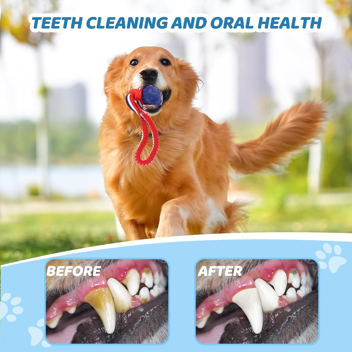 Yiliya Dog Ball on a Rope, 2 Pieces, Diameter 7 Cm, Interactive Natural Rubber Ball Dog for Fetching, Catching, Throwing and Pulling War, 30 Cm (Blue + Red) image number 3