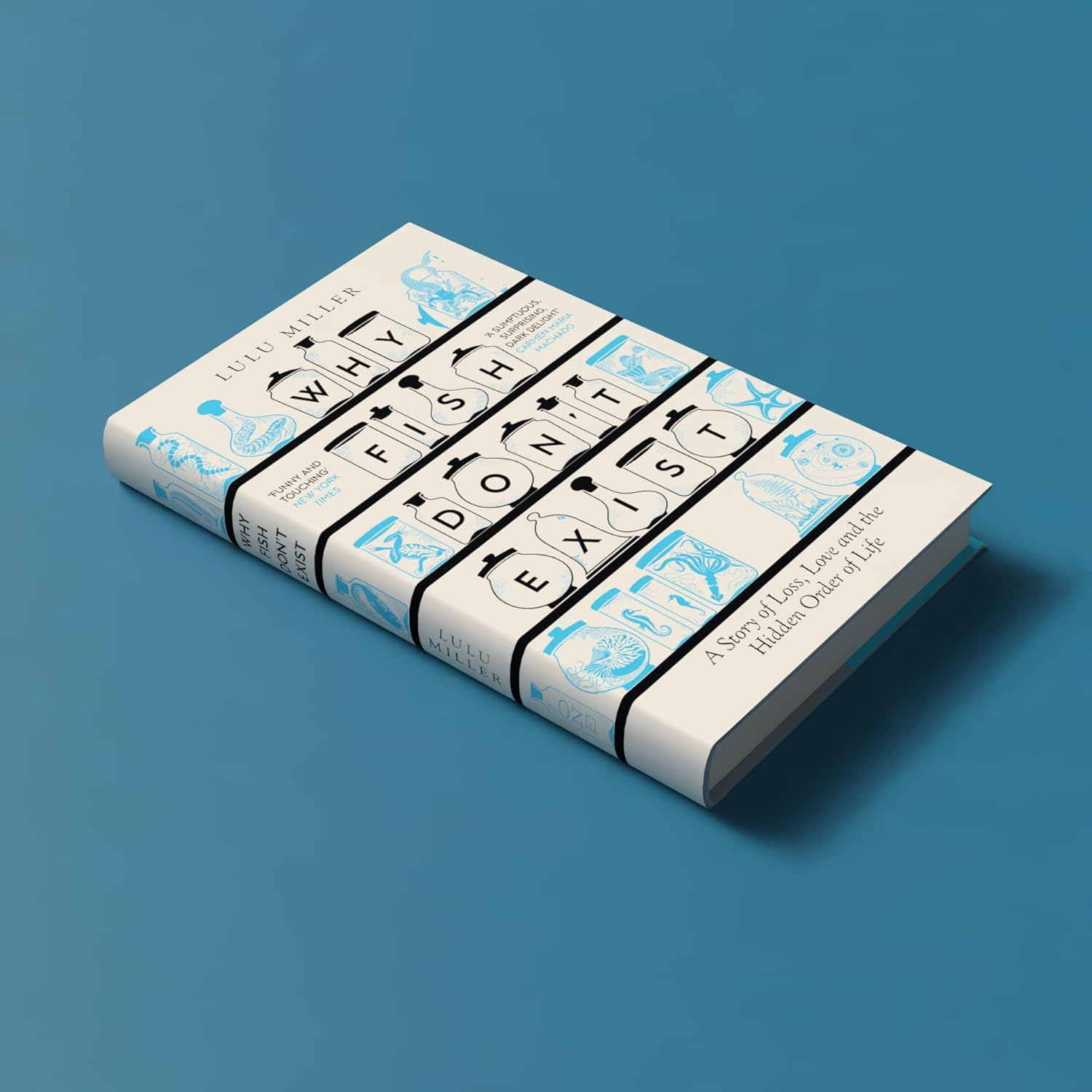 Why Fish Don'T Exist: a Story of Loss, Love and the Hidden Order of Life