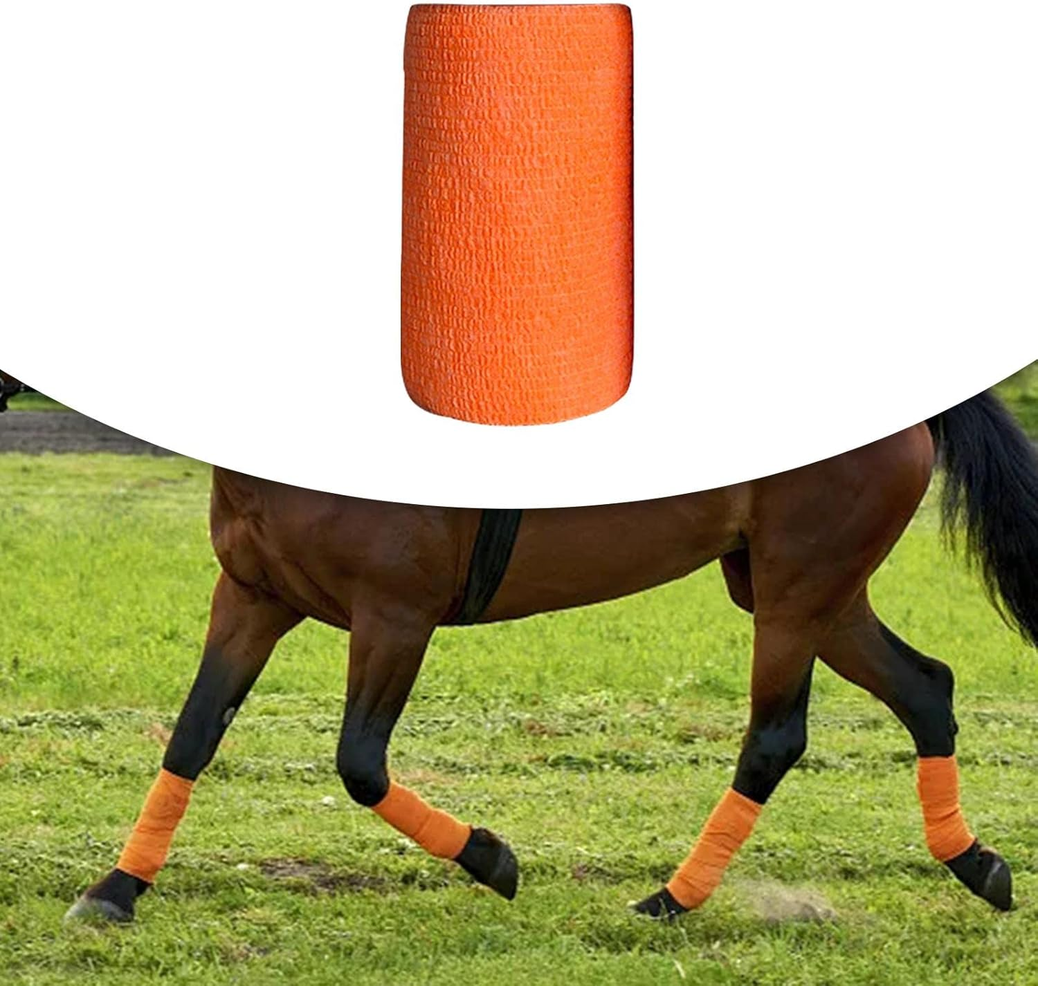 Veterinary Wrap, 4 Inch X, Self Wrap, Non-Woven Wrap for Horses, Dogs, Cats, Elbows,