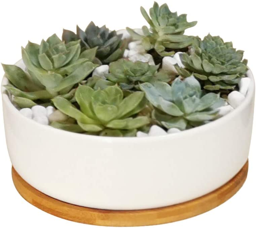 LANKER 6.5 Inch Rectangle White Ceramic Succulent Planter Pot Decorative Cactus Plant Pot Flower Container with Bamboo Tray (Rectangle 6.5 Inch)