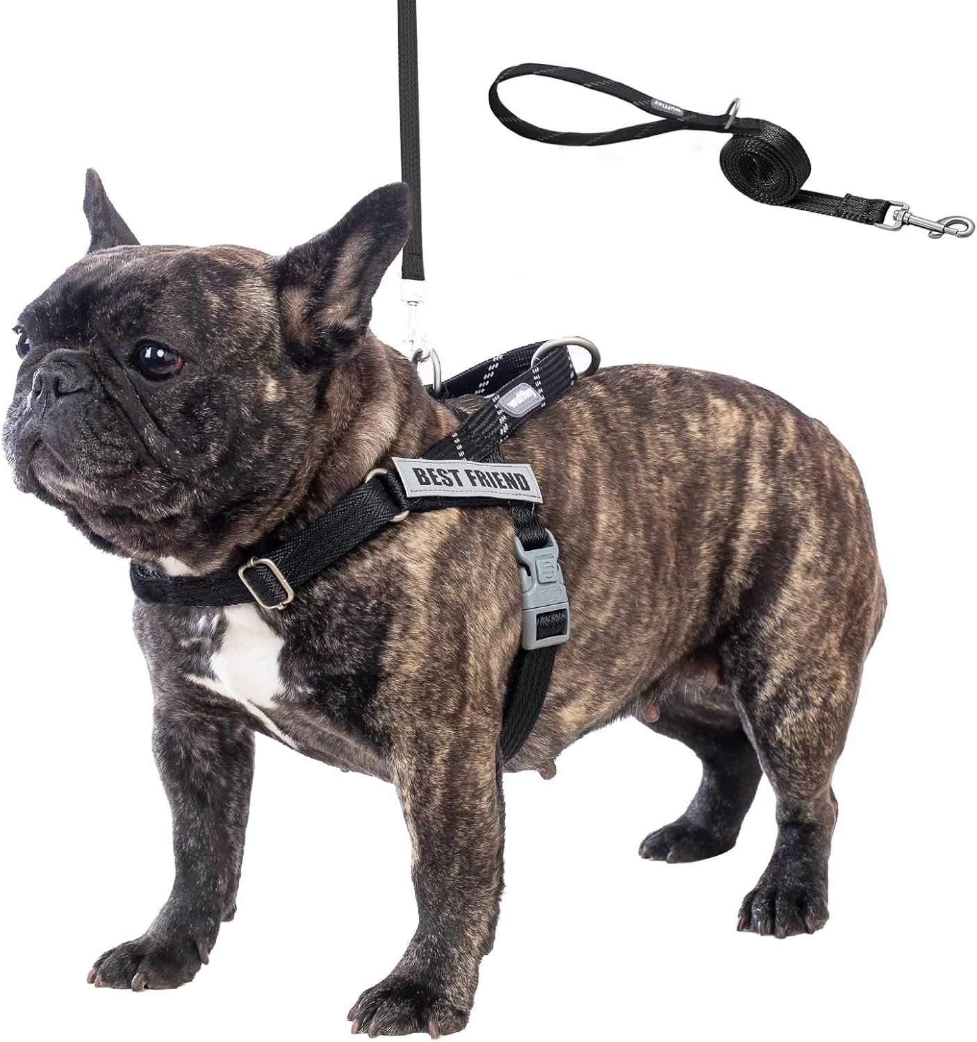 Dog Harness and Lead Set, No Pull Harness for Dogs, anti Pull Harness with Handle and 2 Patches, Reflective Lightweight Pet Harness for Outdoor Training Walking and Running (Black, XS) image number 6