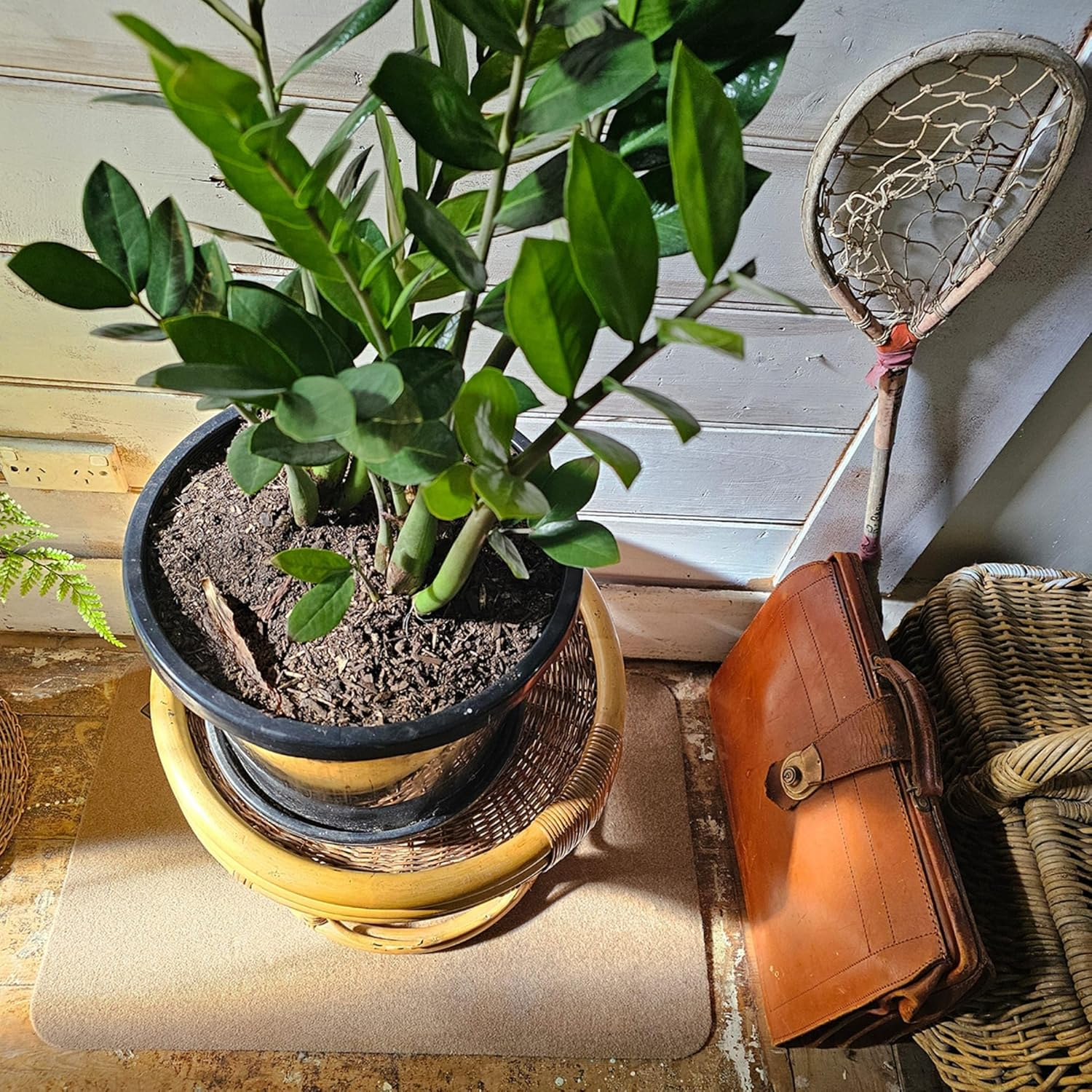 Conni Floor Mat Compact - Absorbent Waterproof and Low Profile, 45 X 70Cm, Pebble - Green image number 6