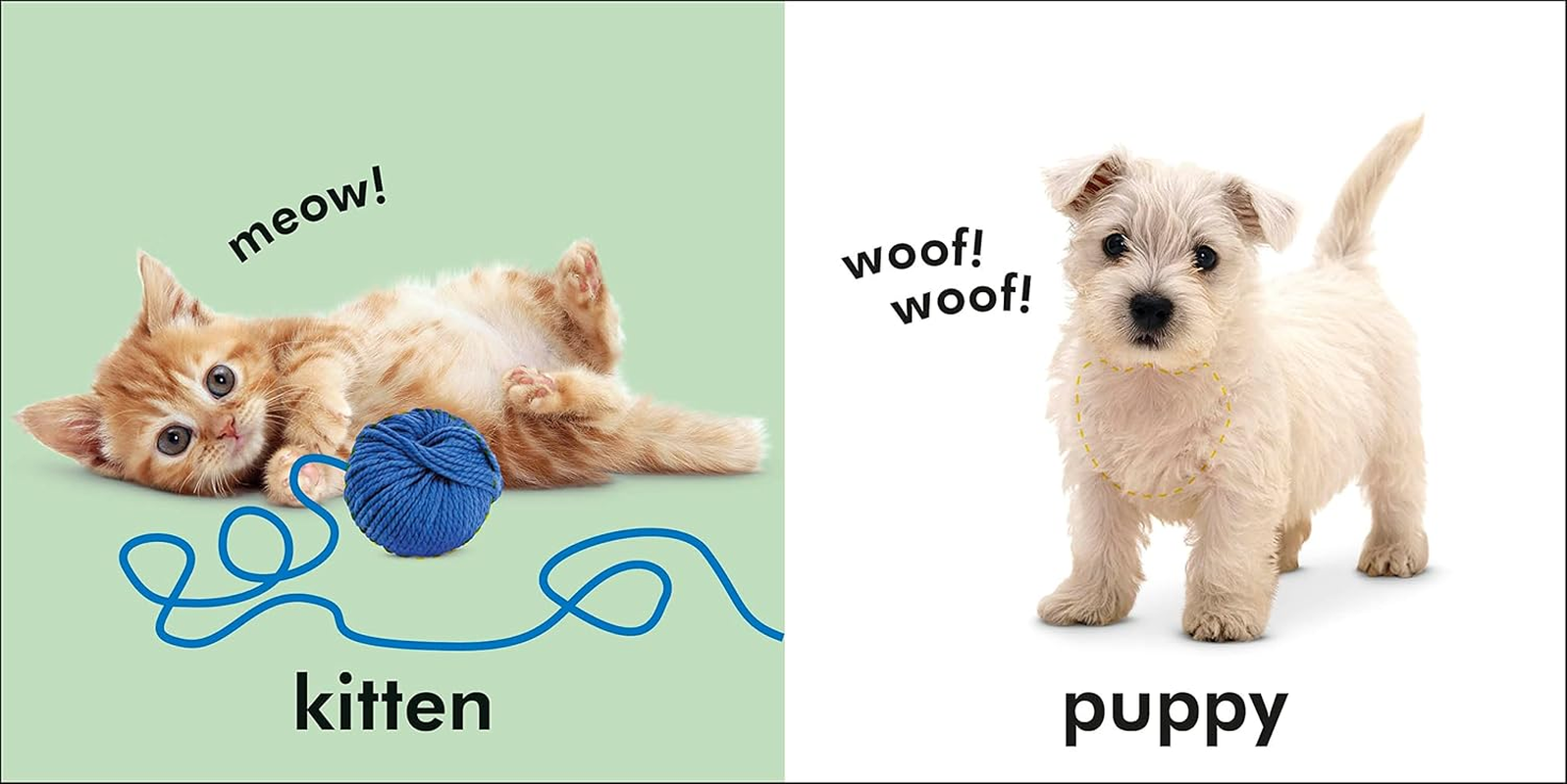 Baby Touch and Feel Animals image number 3