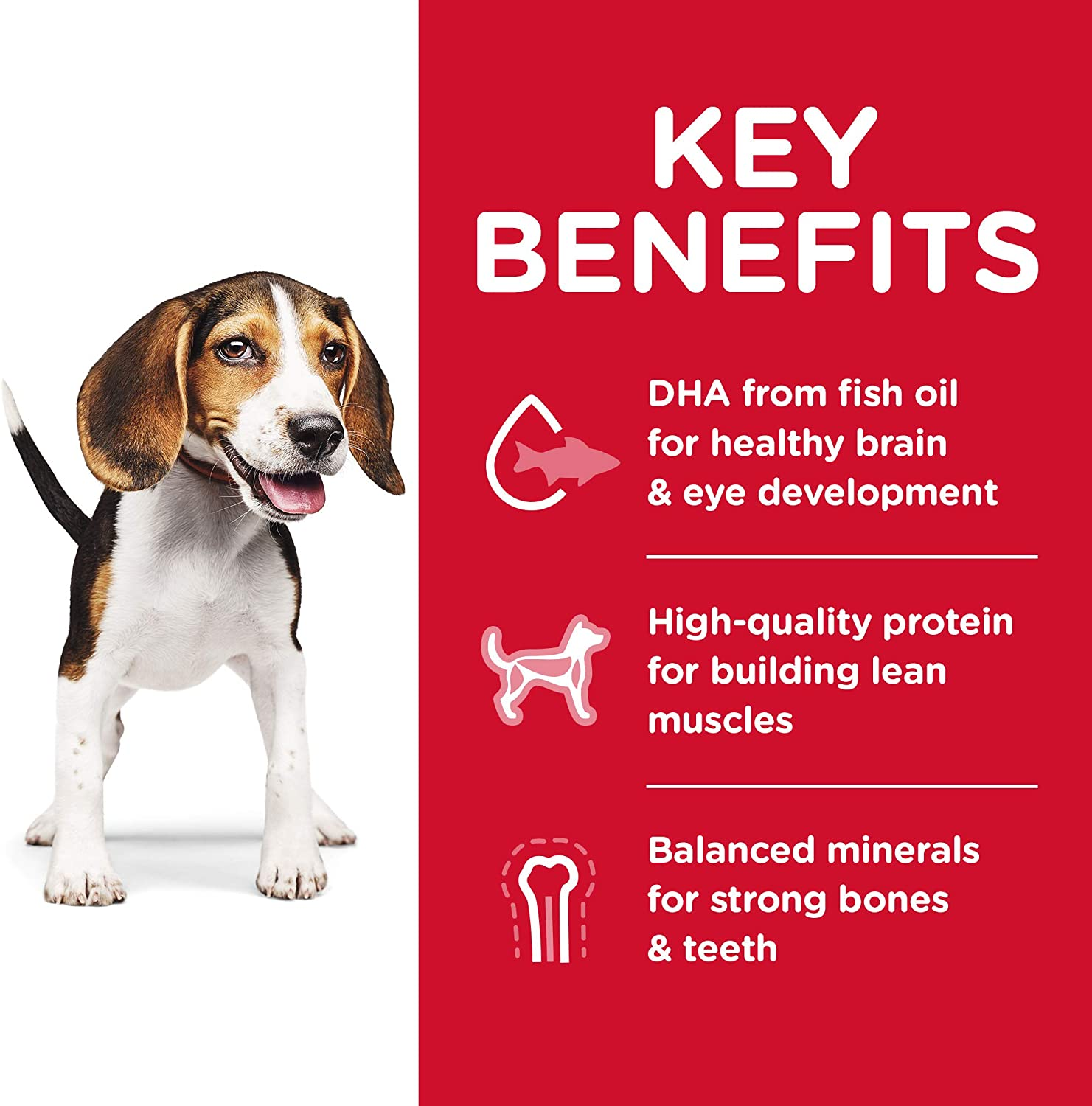 Hill'S Chicken Meal and Barley Dog Food, 3 Kilograms image number 4