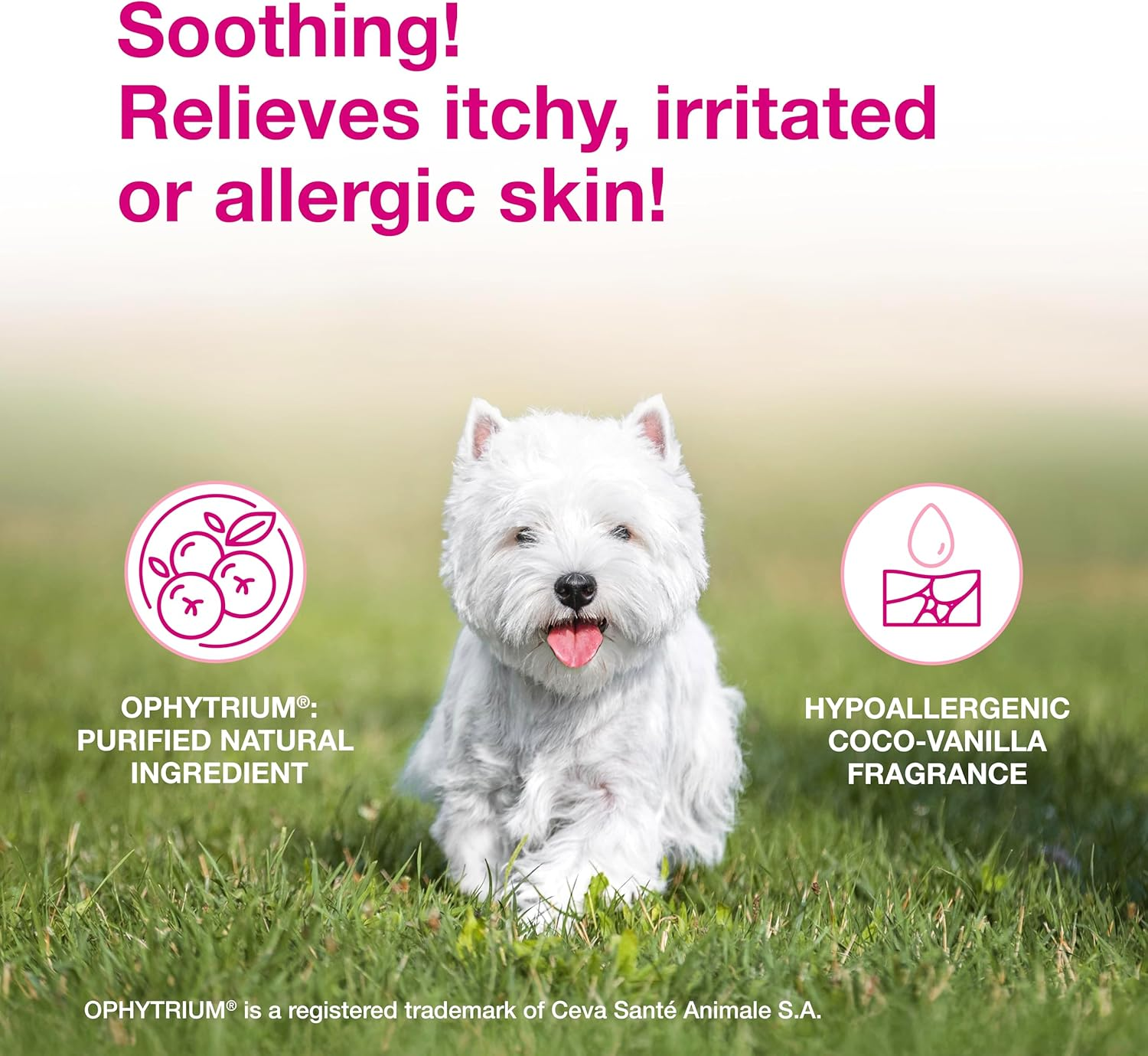 DOUXO&reg; S3 Calm Mousse 5.1 Oz (150 Ml) image number 6