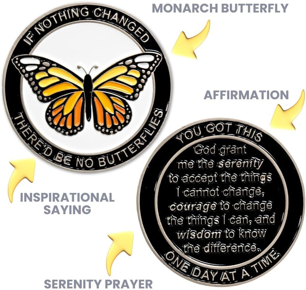 Butterfly Sobriety Coin, Sober Chip, Aa Recovery Medallion, Floating Display Frame