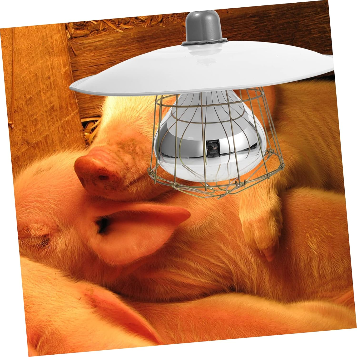 MERRYHAPY Heating Insulation Lamp Poultry Heater 150W Livestock Heat Lamp Warm Light for Pet Brooding Heat Preservation Animal Warmth with Easy Installation image number 3