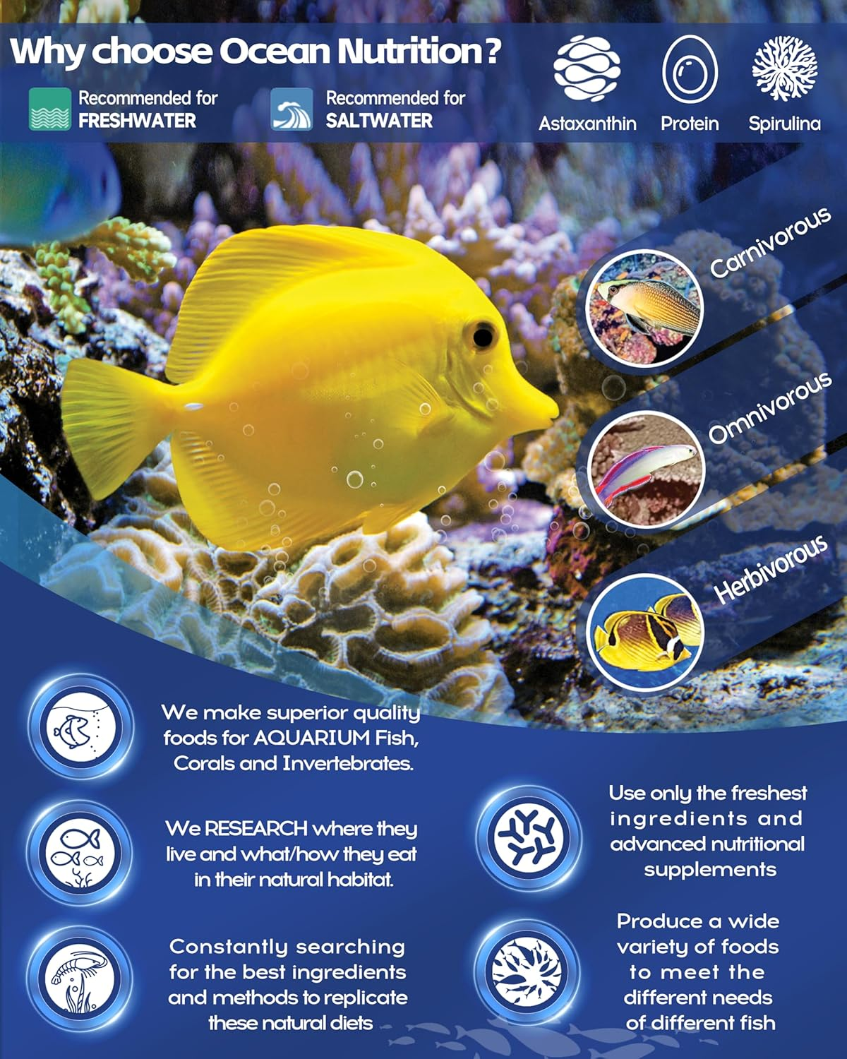 Ocean Nutrition Betta SPA Water Conditioner | Natural Ingredients | Betta Fish Tank Accessories | Super Color Enhancing | Aquarium Water Conditioner | USA Made - 4.22 FL OZ (125 Ml) image number 2