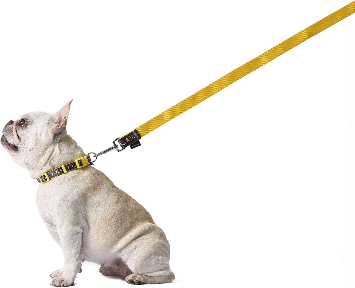 Star Wars Darth Vader 6 Foot (72 Inch) Dog Leash for All Dogs | Cute Dog Leash Easily Attaches to Any Dog Collar or Harness | Star Wars Dog Leash