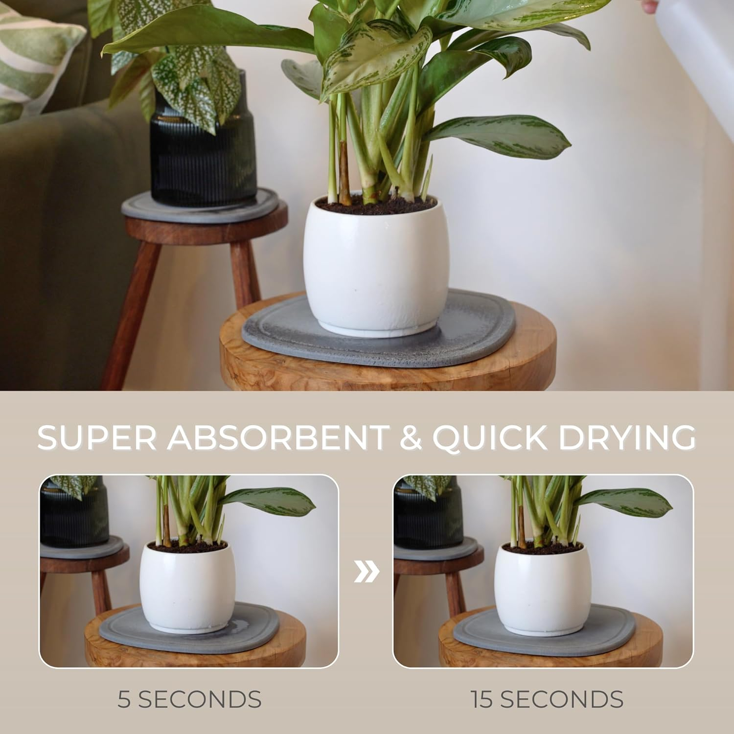 Home - Stone Plant Saucer | Super Absorbent, Quick Drying Indoor Pot Saucers | Made of Natural Diatomaceous Earth | Absorbing Water Instantly | 1 Large & 1 Small Drip Tray | Colour Graphite image number 1