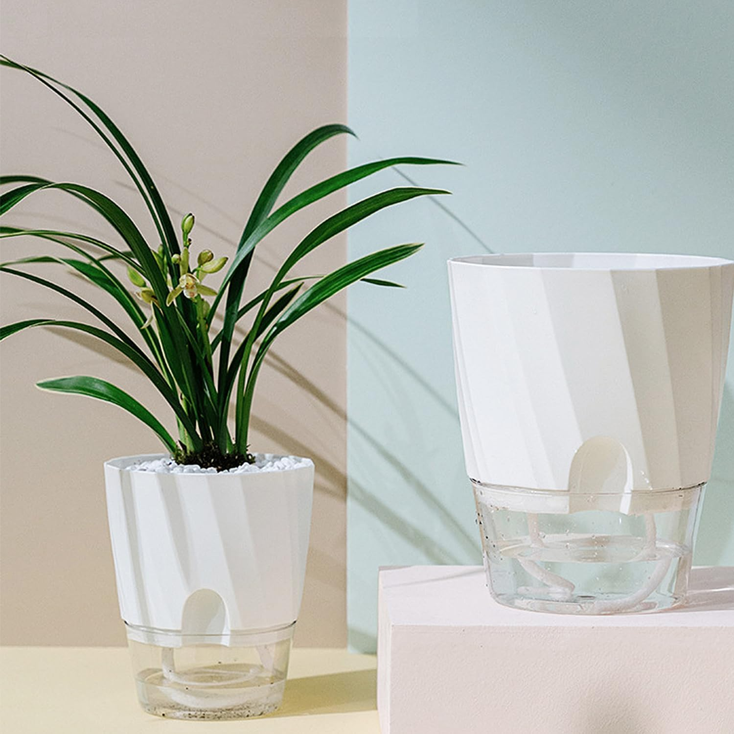 ROLMZJX 4 Pack Self Watering Pots,African Violet Pots，Clear Plastic round Plant Pots for Succulent, Flowers, Herbs for Office Home Decor（White-Large/Medium/Small）