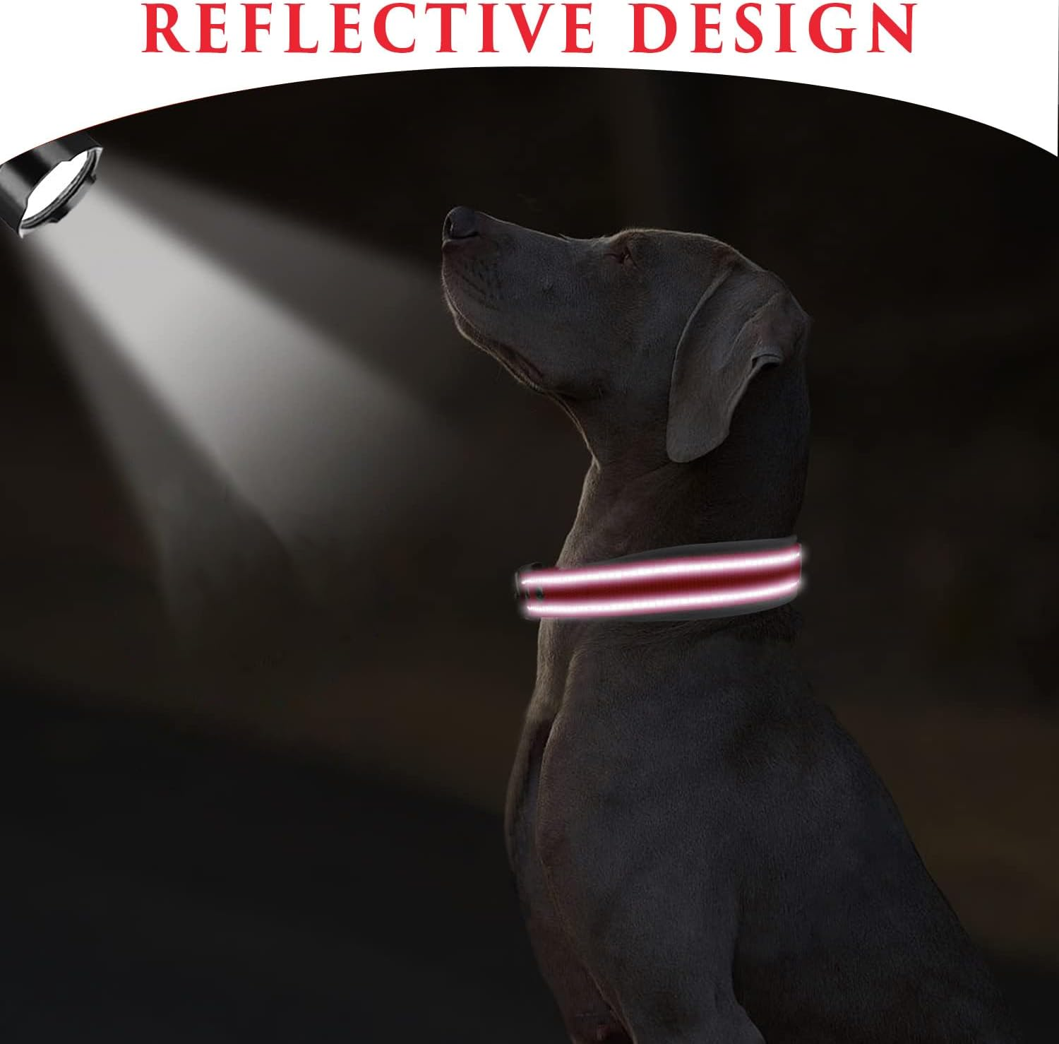 Reflective Nylon Dog Collars, Adjustable Classic Dog Collar, Dog Accessories Collar, Black Buckle Reflective Collar, for Small Medium Large Dogs with Buckle Heavy Duty Basic Dog Collar