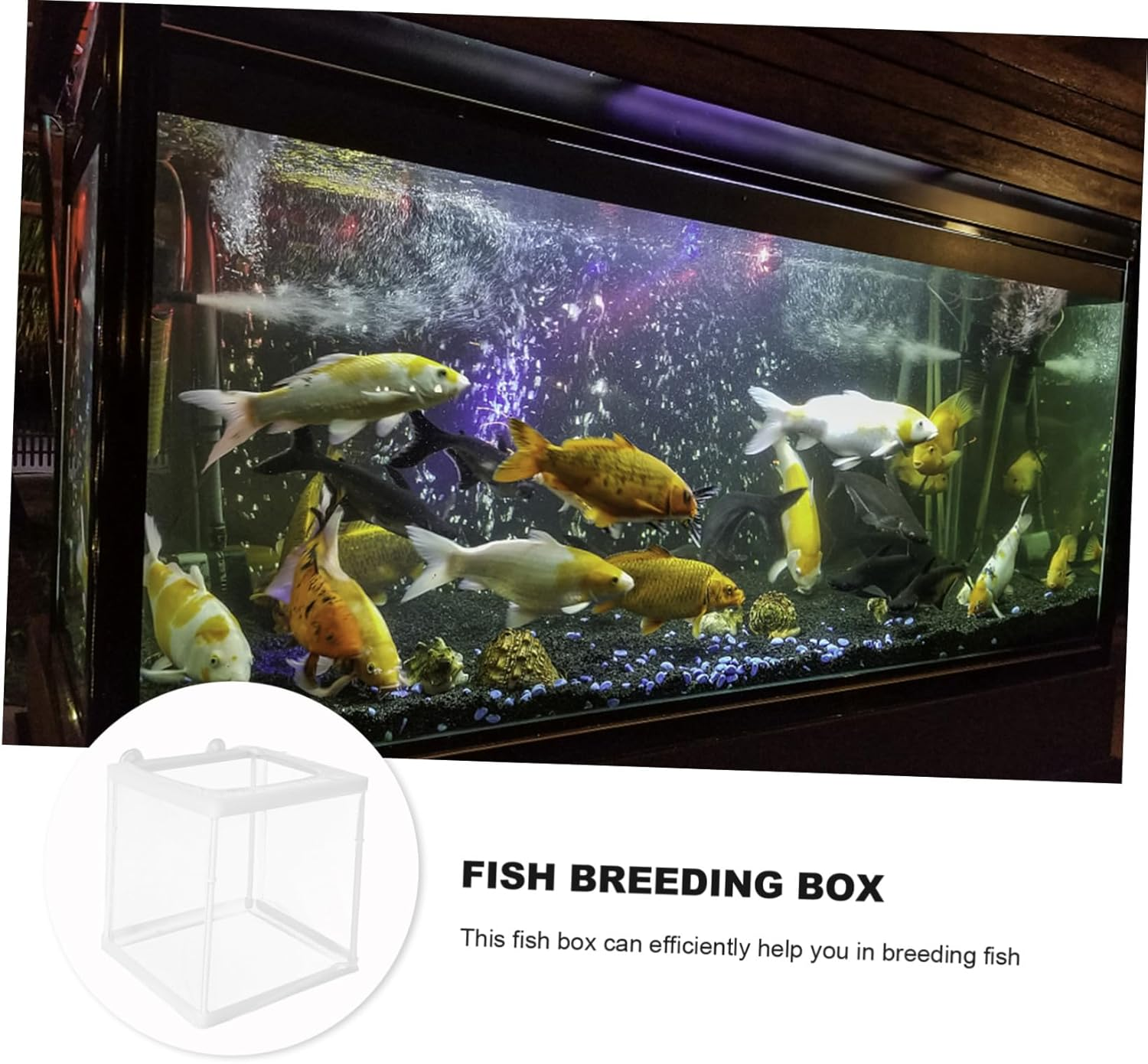 UKCOCO Fish Breeding Tank Fish Incubator for Aquarium with Mesh Design Isolation and Fry Protection in Guppy Shrimp Breeding image number 3
