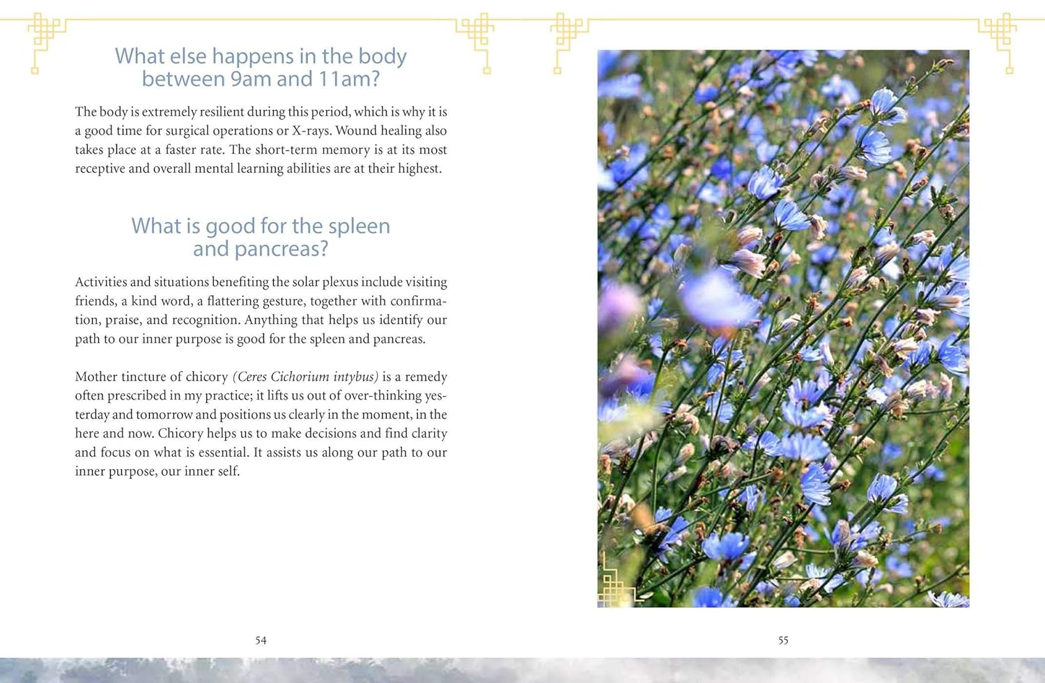 The Body Clock in Traditional Chinese Medicine: Understanding Our Energy Cycles for Health and Healing