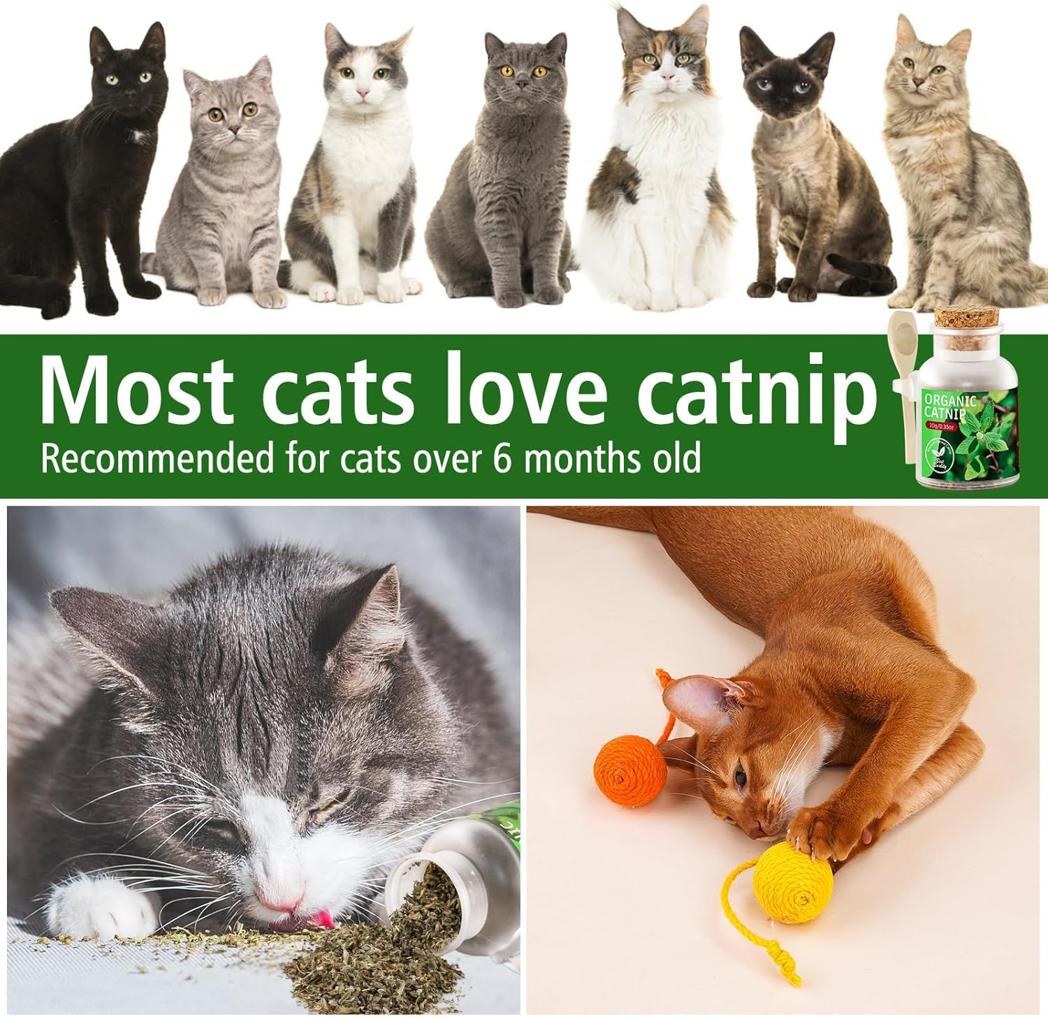 Organic Cat&rsquo;S Catnip Natural Dried Catnips Treat Used to Supplement Kitten Interactive Toys,Great for Training Redirecting Bad Behaviors image number 2