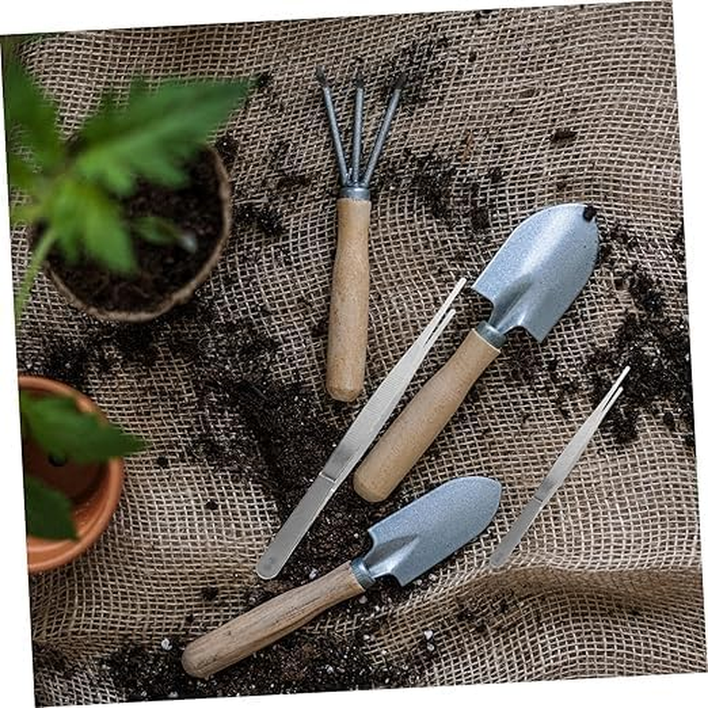 Ksngtixe 4-Piece Stainless Steel Gardening Tweezers Set - Long Handle Plant Tools for Bonsai, Succulents, Transplanting - Durable & Ergonomic Garden Accessories image number 6