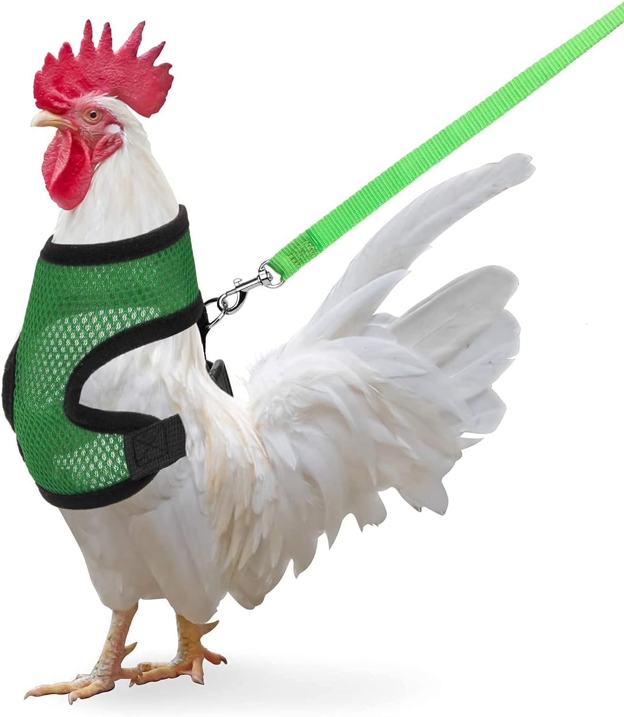 Chicken Harness with Leash, Adjustable Chicken Leash for Hens, Duck, Puppy (Green, M)