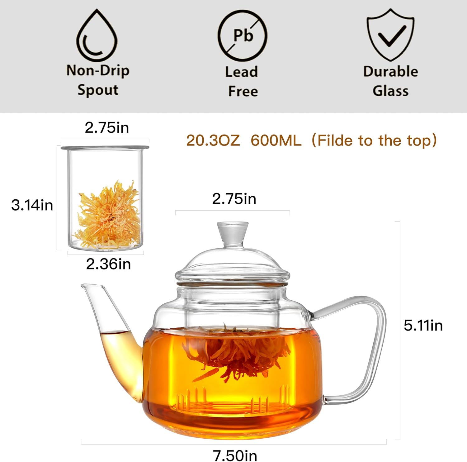 CNGLASS Glass Teapot with Removable Infuser,600Ml Clear Glass Tea Kettle Stovetop Safe,Glass Teapot with Strainer for Blooming and Loose Leaf Tea image number 3