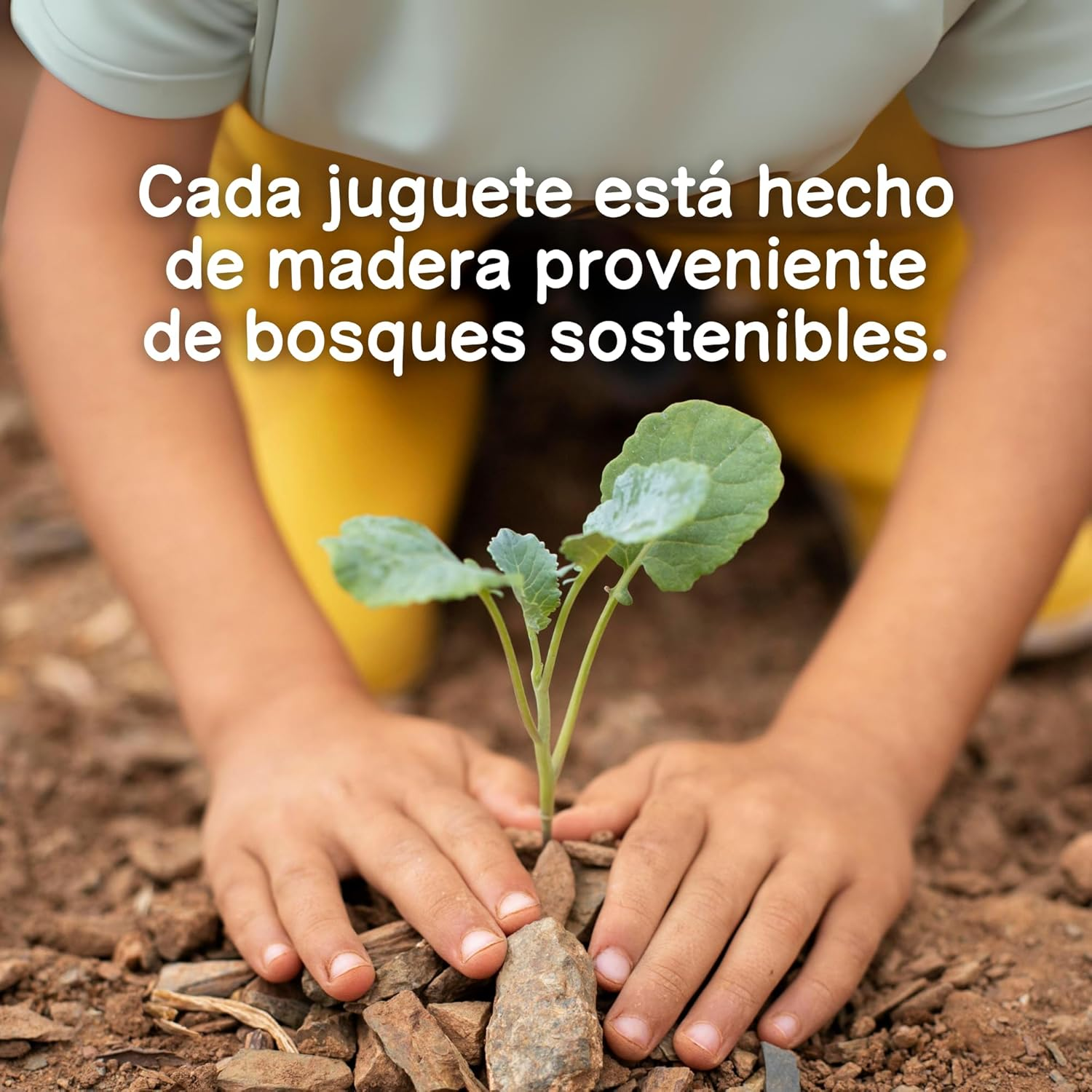 Tooky Toy Shape SORTER with 12-Piece Wooden Blocks: Colourful Wooden Blocks Montessori Educational Set image number 4