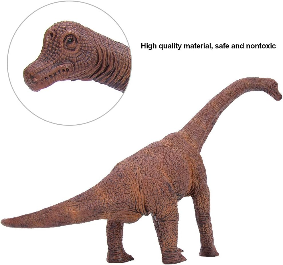 Plastic Material Simulation Animal, Simulation Brachiosaurus Shape Exquisite Workmanship and Safe Educational Toy, Children for Kid image number 1