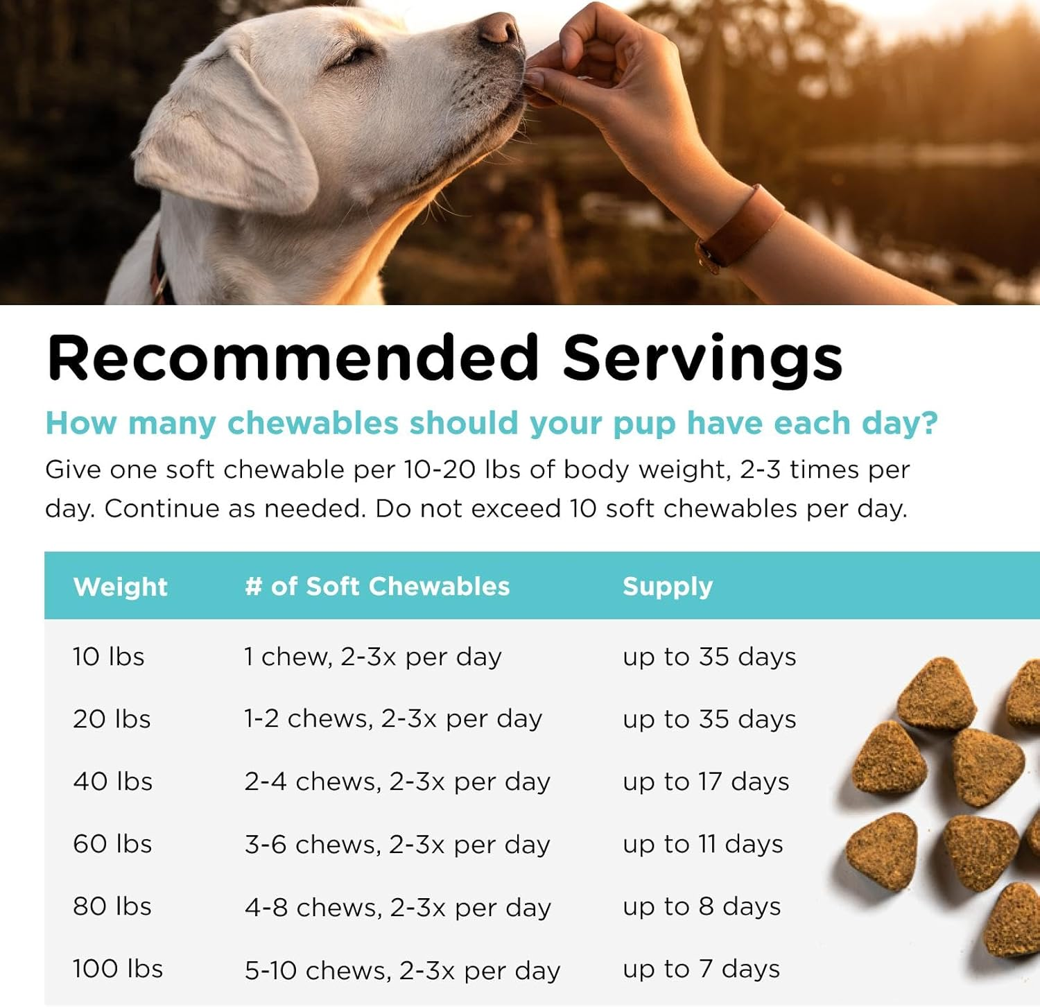 Nutri-Vet Pet-Ease Soft Chews for Dogs - Vet Formulated with Chamomile and Tryptophan to Soothe and Calm Dogs - 6.0 Oz image number 3