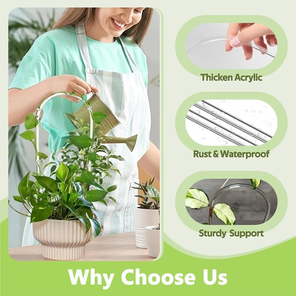 12-Pack Clear Acrylic Plant Trellis for Potted Plants,Indoor/Outdoor Climbing Support Stakes,Ideal for Hoya Pothos Ivy Monstera Philodendron image number 4