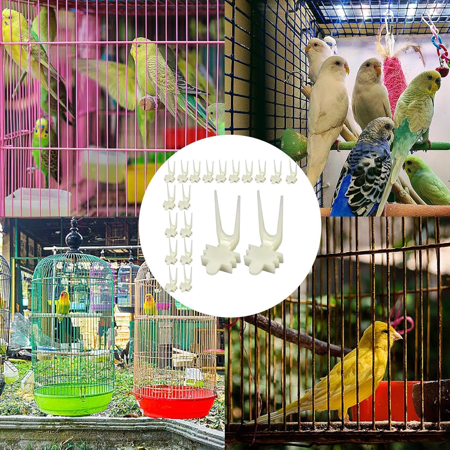 Bird Cage Food Holder - Parrot Fruit Feeder Parrot Vegetable Skewer Set of 20 | Small Bird Treats Skewers for Birds Animals image number 6