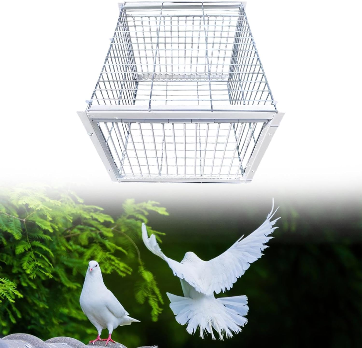 Yuksok Pigeon Trap Pigeon Coop Escaping Resistant Automatic Pigeon Collection Animal Trap Cage for Feral Cardinals Other Birds Woods image number 5