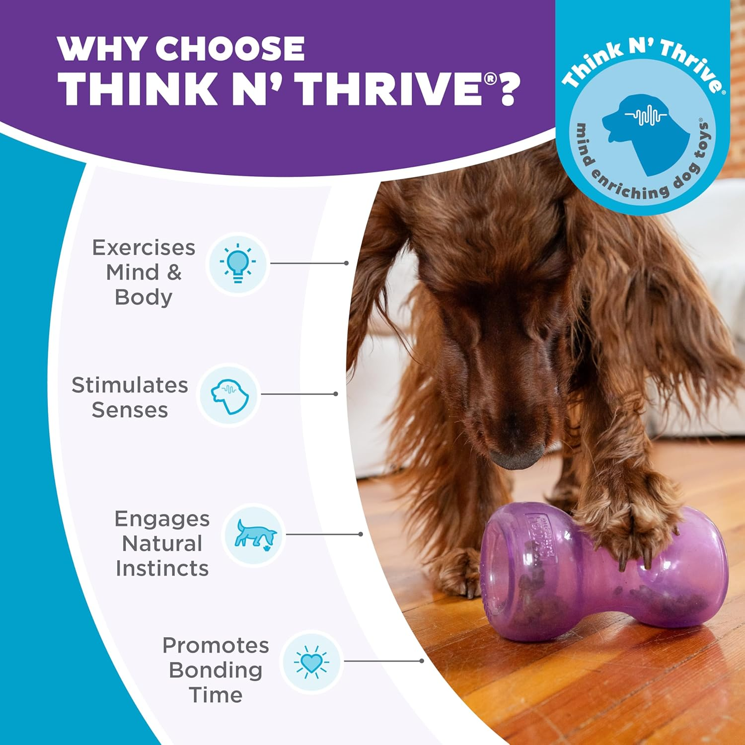 Outward Hound Double Snoop Interactive Treat Stuffer Durable Dog Toy, Dog Treat Toy, Purple image number 1