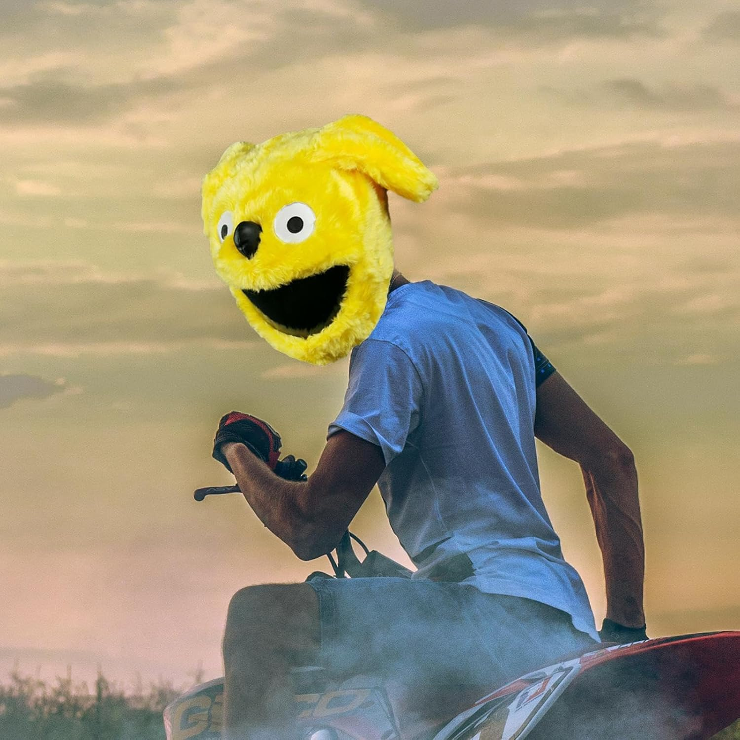 Helmet Cover, Cartoon, Motorbike Soft Protective Plush Eye Catching Style for Full Face Helmets Men and Women Outdoor Helmet Protective Cover image number 3