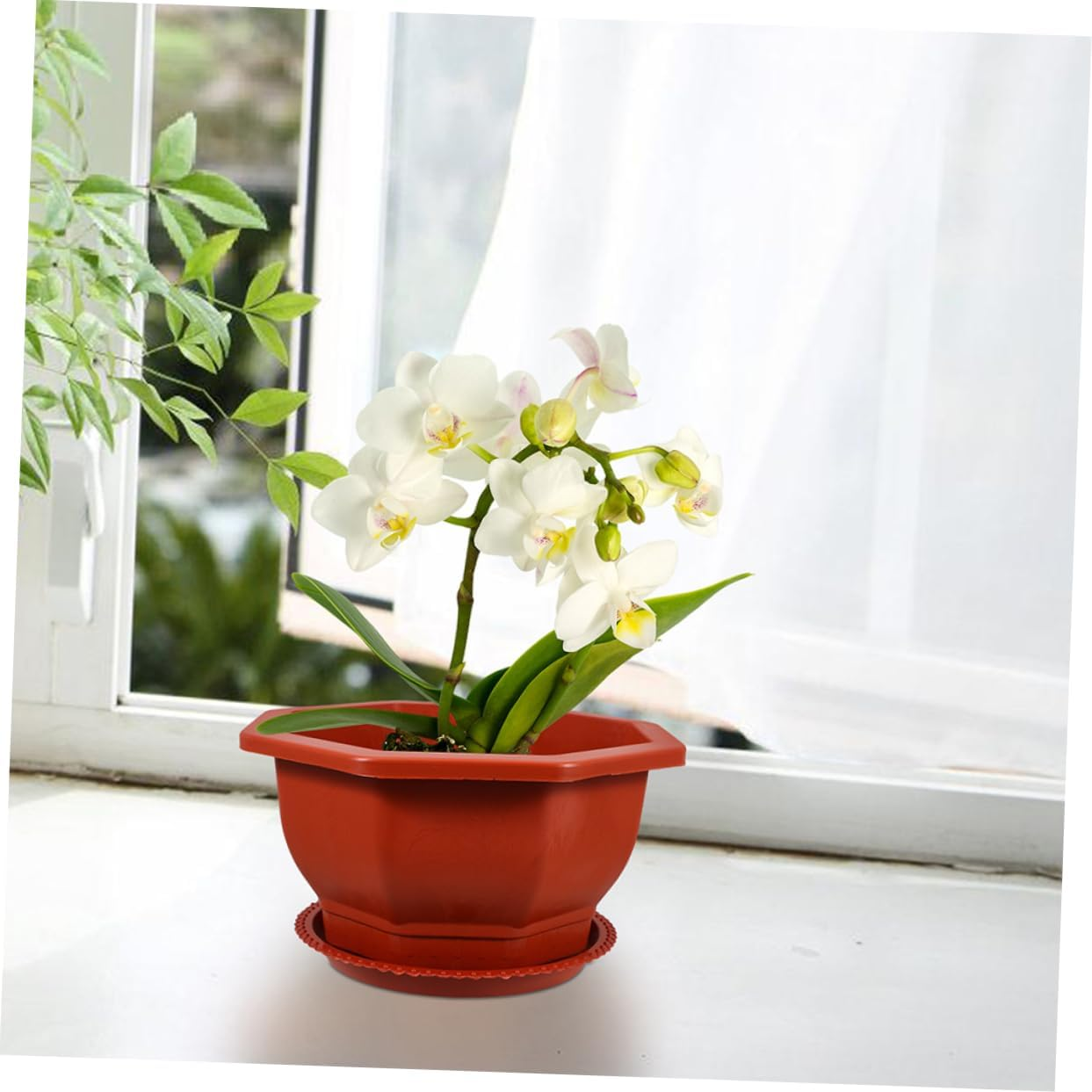 FONDOTIN 5Pcs Red Octagonal Thickened Flower Planter Pots with Drainage Tray for Indoor and Outdoor Gardening Small Plant Pots Set for Bonsai and Orchid Growing image number 5