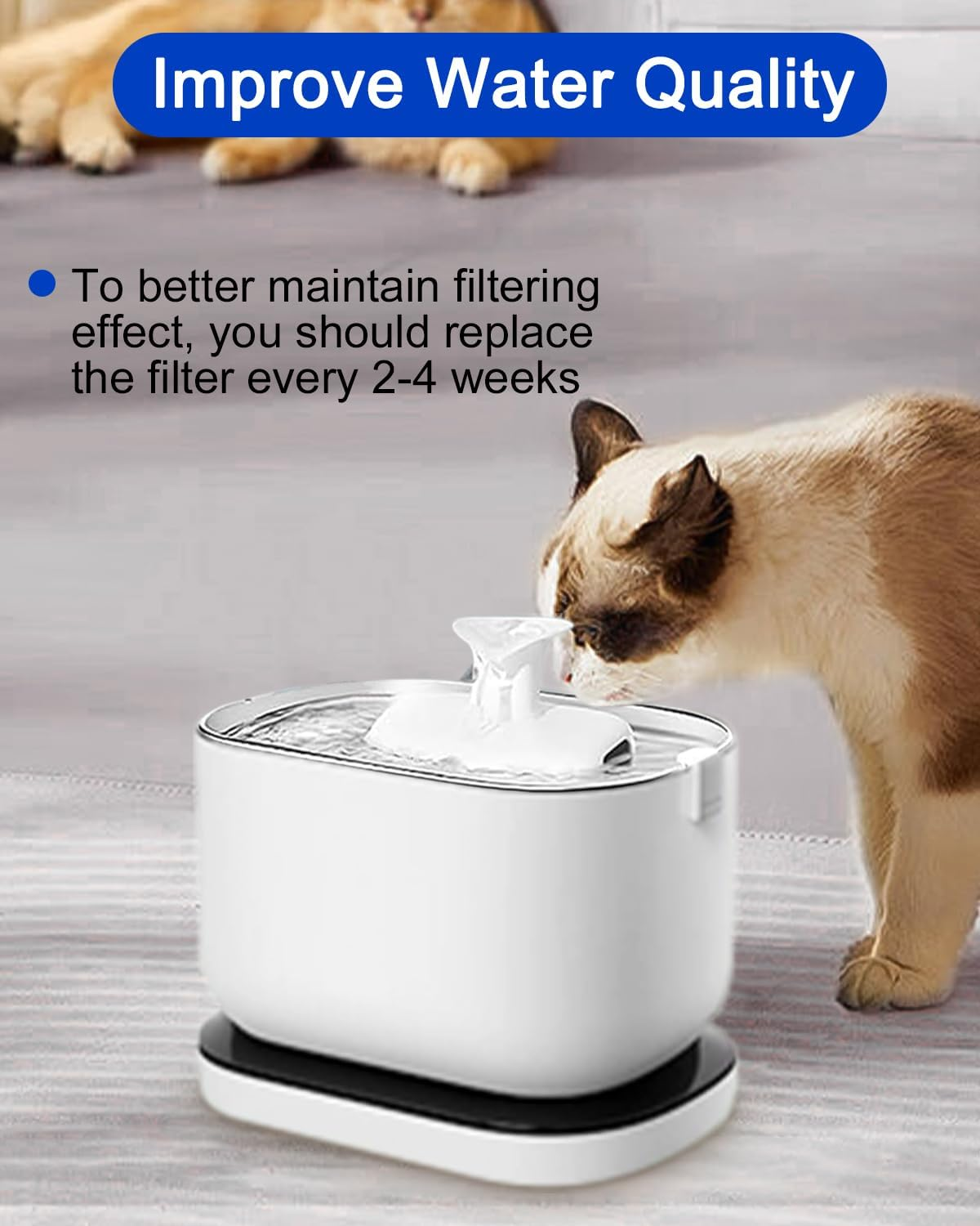 Pack of 12 + 12 Cat Fountain Filter, Replacement Filter for Drinking Fountain, Cat Fountain Filter with Petlibro 2.5 Litre PLWF005, PLWF115, Filter Cat Fountain, 12 Filter Cartridges and 12 Foam image number 6