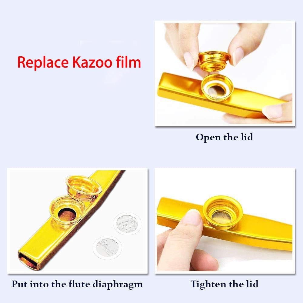 Top Harmonica with 10 Holes Blues Diatonic and Kazoo Musical Instruments with 5 Flute Diaphragm,Mouth Harmonica Organ Key of C for Kids,Students,Beginners, Professional image number 3