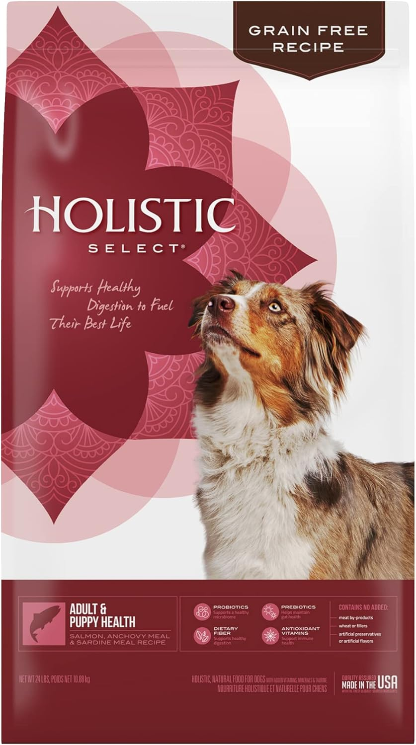 Holistic Select Natural Grain Free Dry Dog Food, Adult & Puppy Salmon, Anchovy & Sardine Recipe, 10.88Kg Bag image number 2
