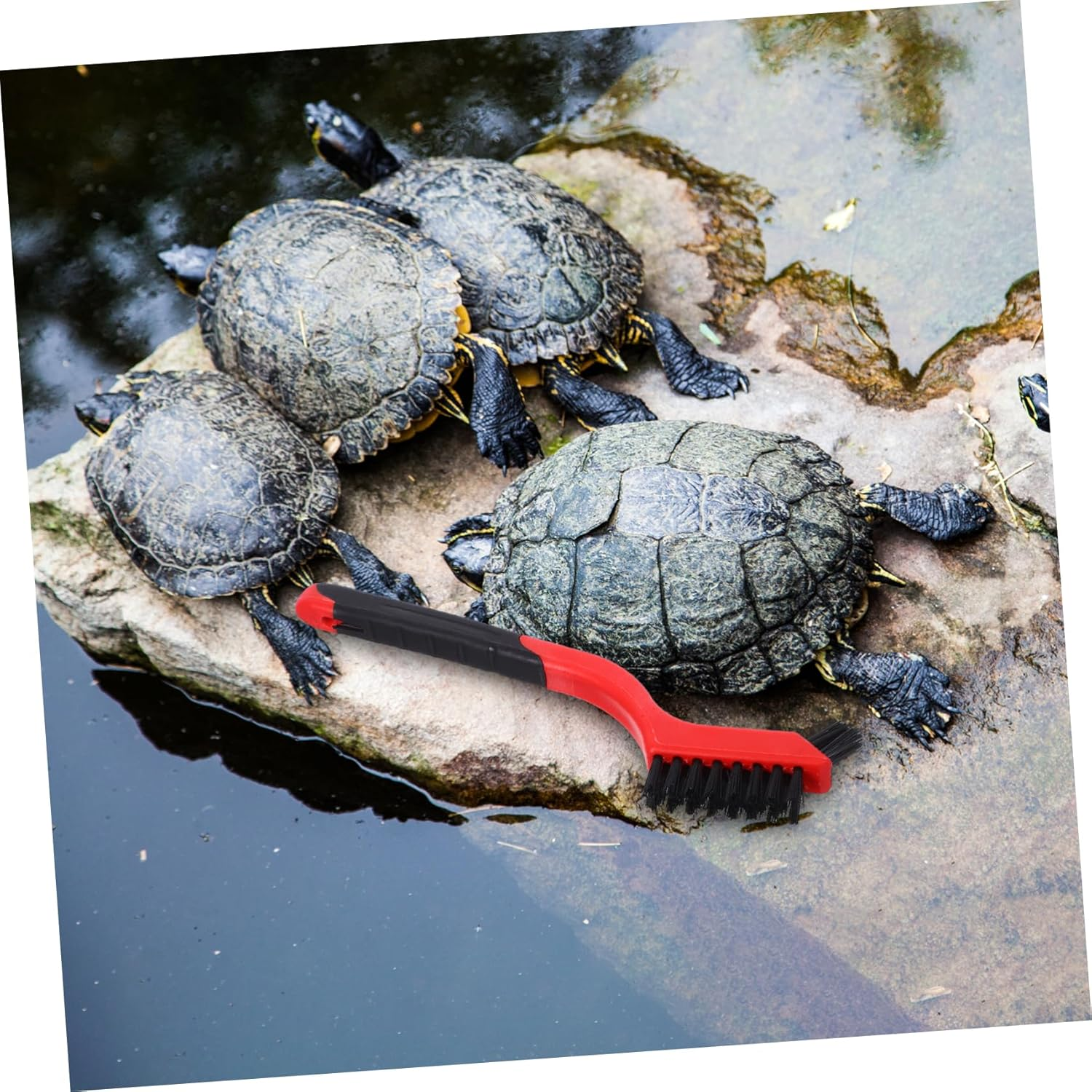 Kisangel 6Pcs Aquatic Tortoise Shell Cleaning Brush Nylon Aquarium Accessories Turtle Tool Water Turtle Scrub Brushes for Pets image number 6