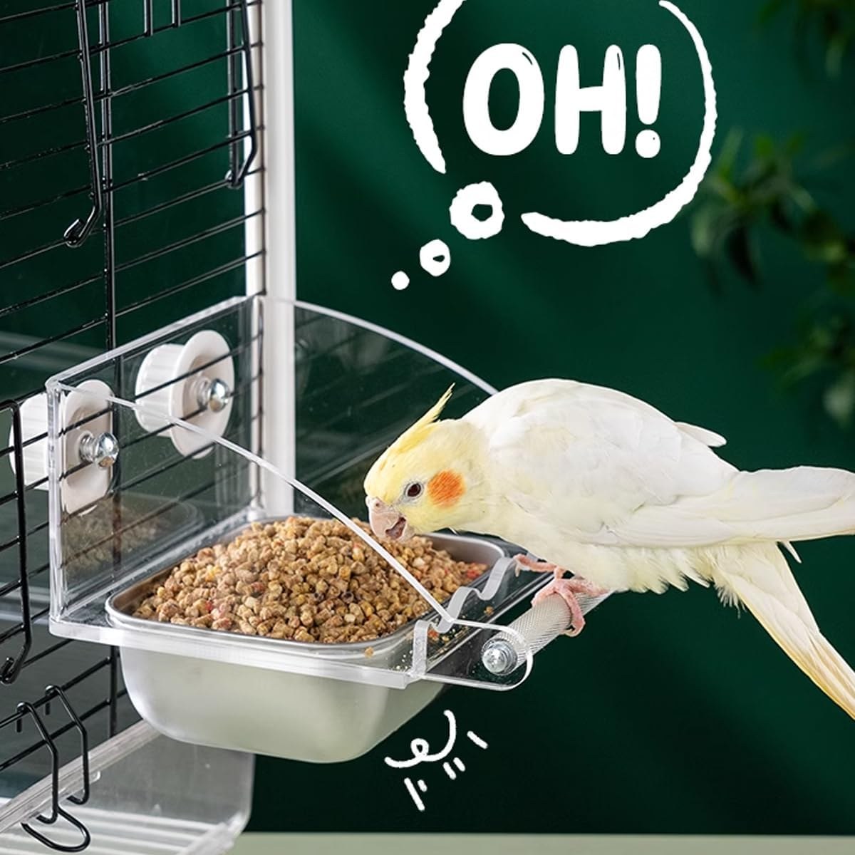 AIMALL Parrot Acrylic Stainless Steel Food Basin Box, Anti-Scattering Feeder with High Colour Value for Peony Xuan Feng Birds, Available in 3 Sizes image number 1