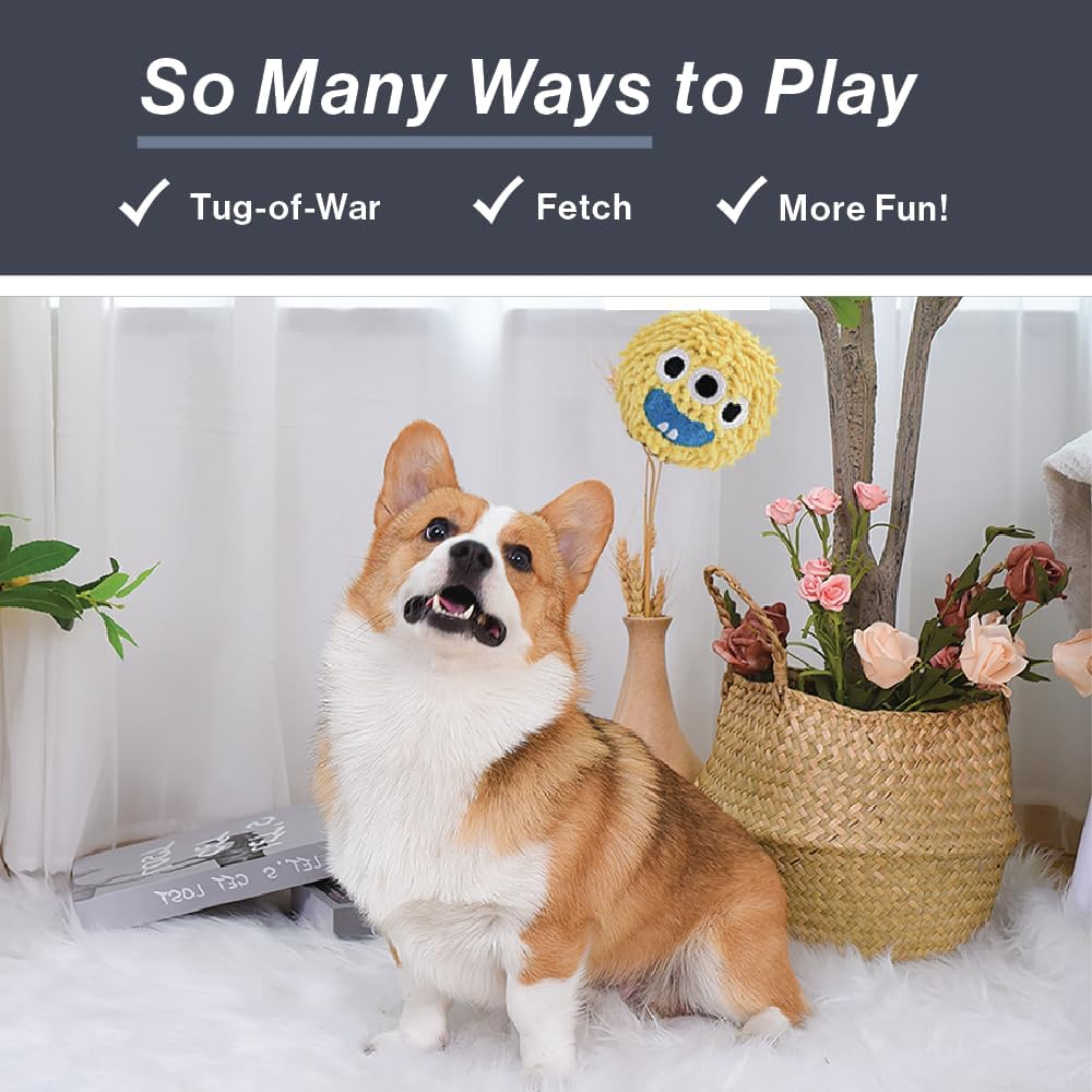 Hugsmart Pet &ndash; Spiky Monster Dog Balls (3-Pack) | Plush Squeaky Ball for Dogs, Small, Medium Breeds ｜No Stuffing, Interactive Fetch, Squeaky Dog Toys for Aggressive Chewers, Designed in Canada