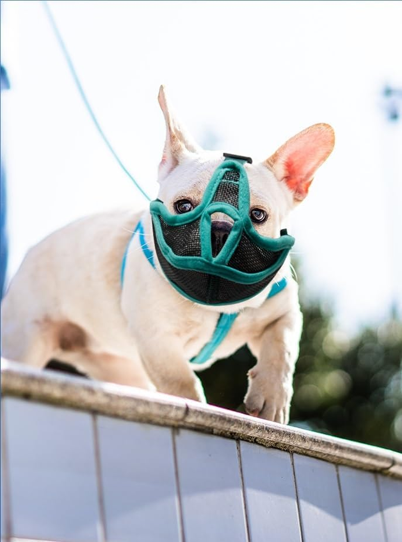 Short Snout Dog Muzzle, Won&rsquo;T Cover Forehead Bulldog Muzzle Adjustable Breathe Mesh, anti Bitting Chewing Barking (Green, L) image number 2