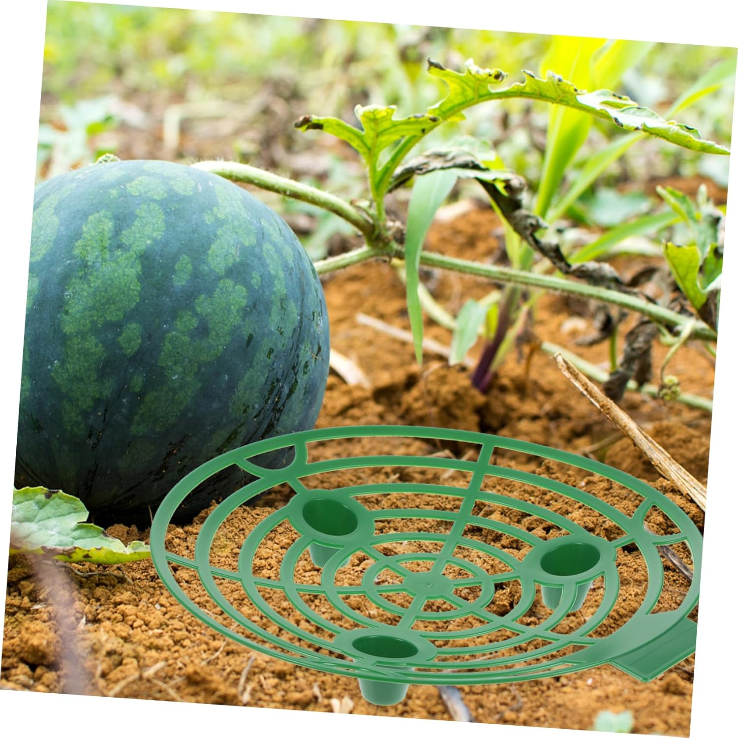 Outanaya 10Pcs Strawberry Supports Plastic Material Strawberry Holder for Gardening Planting Rack image number 6