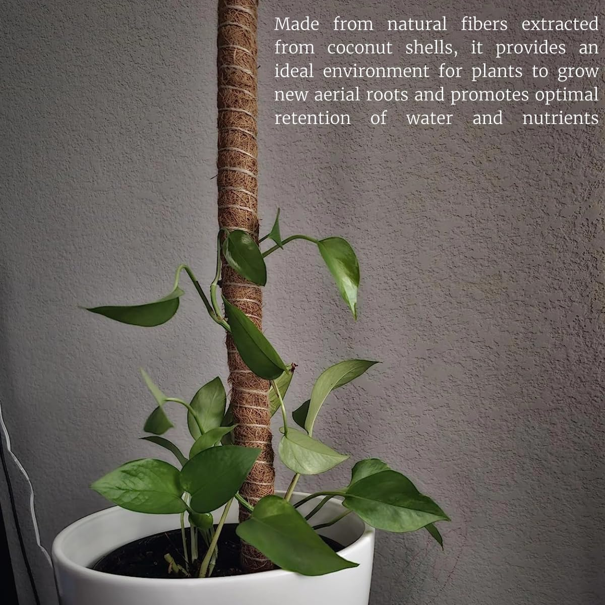 Moss Pole Monstera Support, Bendable Stakes for Indoor Climbing Plants, Tall Garden Trellis Stick for Pothos, Potted Plants (H:90Cm) image number 3
