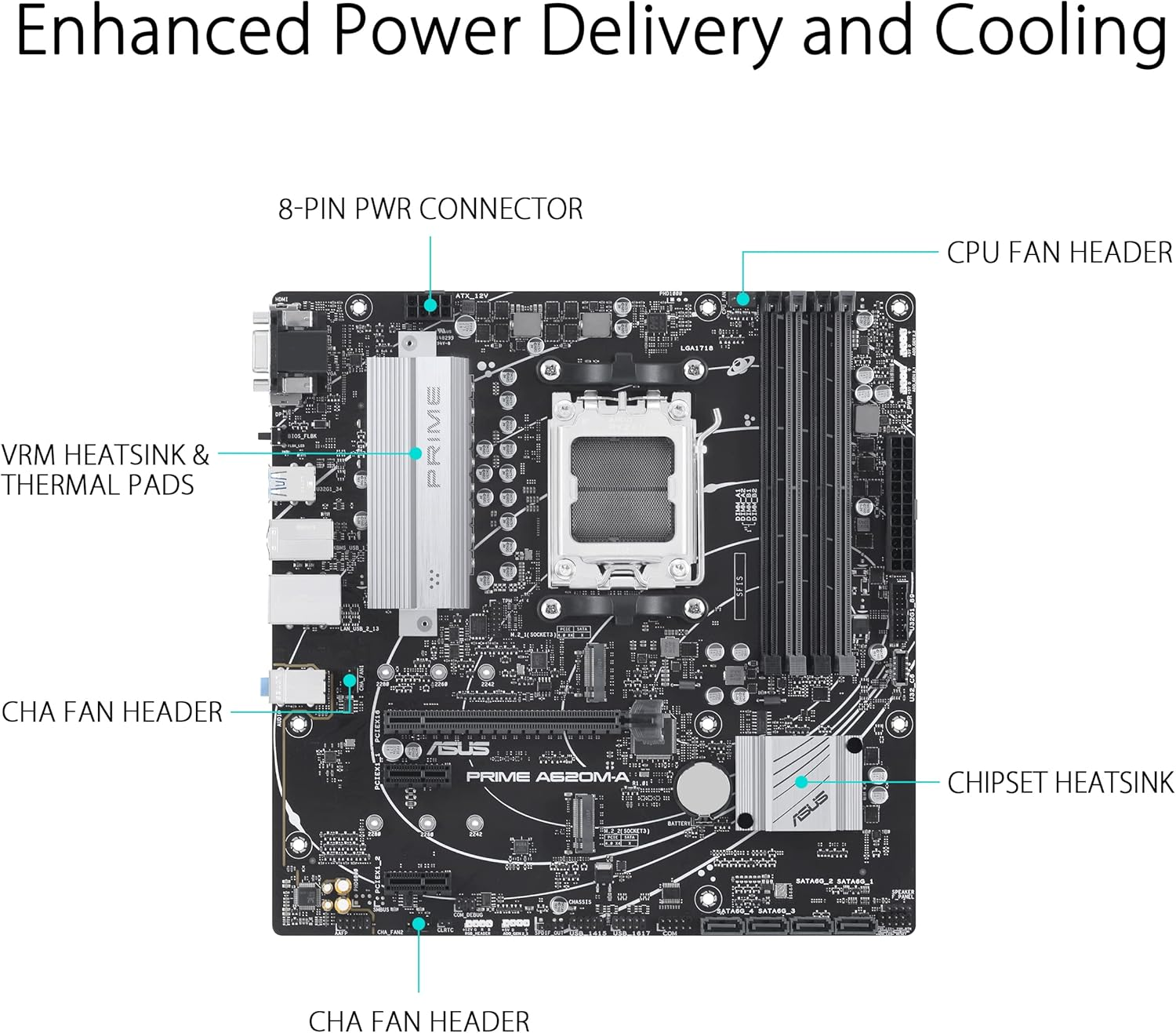 ASUS Prime A620M-A-CSM AMD Am5(Ryzen 7000) Matx Commercial Motherboard (Pcie 4.0, Ddr5,2Xm.2 Slots, 1Gb Lan,Displayport/Hdmi,Usb 3.2 Gen 1 Ports, Front USB Type-C, BIOS Flashback, RGB Header,Acce) image number 3