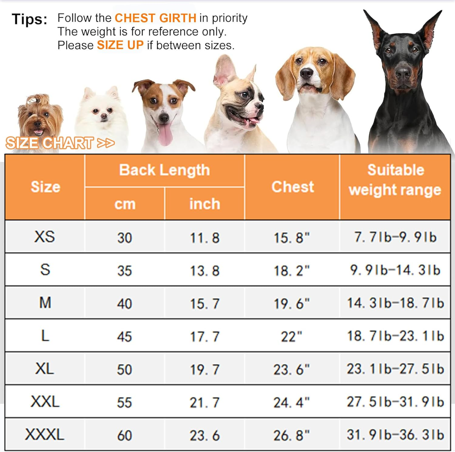 Warm Dog Winter Coat, Dog Cold Weather Coats Waterproof Windproof Reflective Dog Apparel Clothes Pet Jacket Padded Vest Outfit for Small Medium Large Dogs (Navy Blue, 50Cm) image number 1