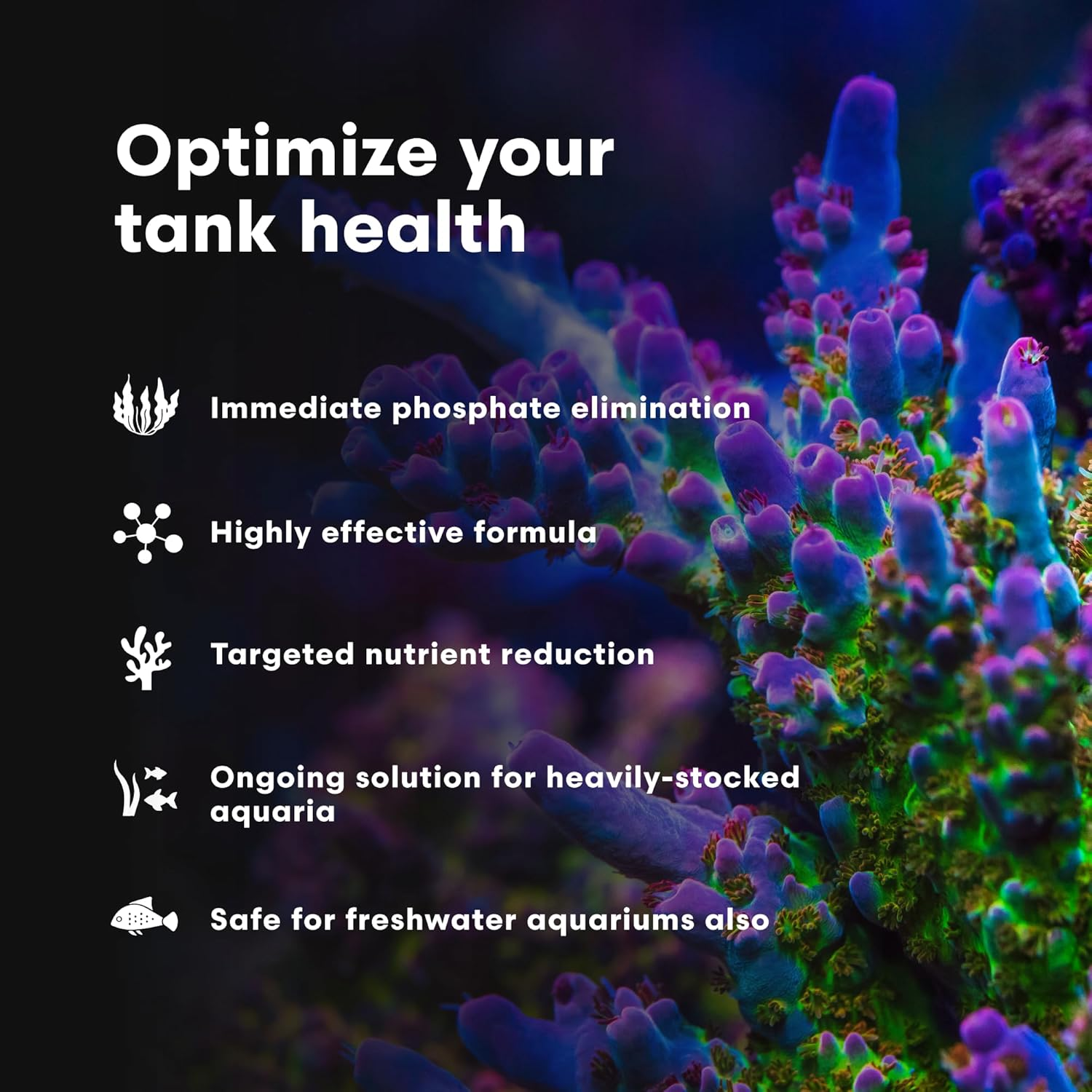 Brightwell Aquatics Phosphat-E - Liquid Phosphate Remover for Marine Fish and Reef Aquarium 250-ML image number 1