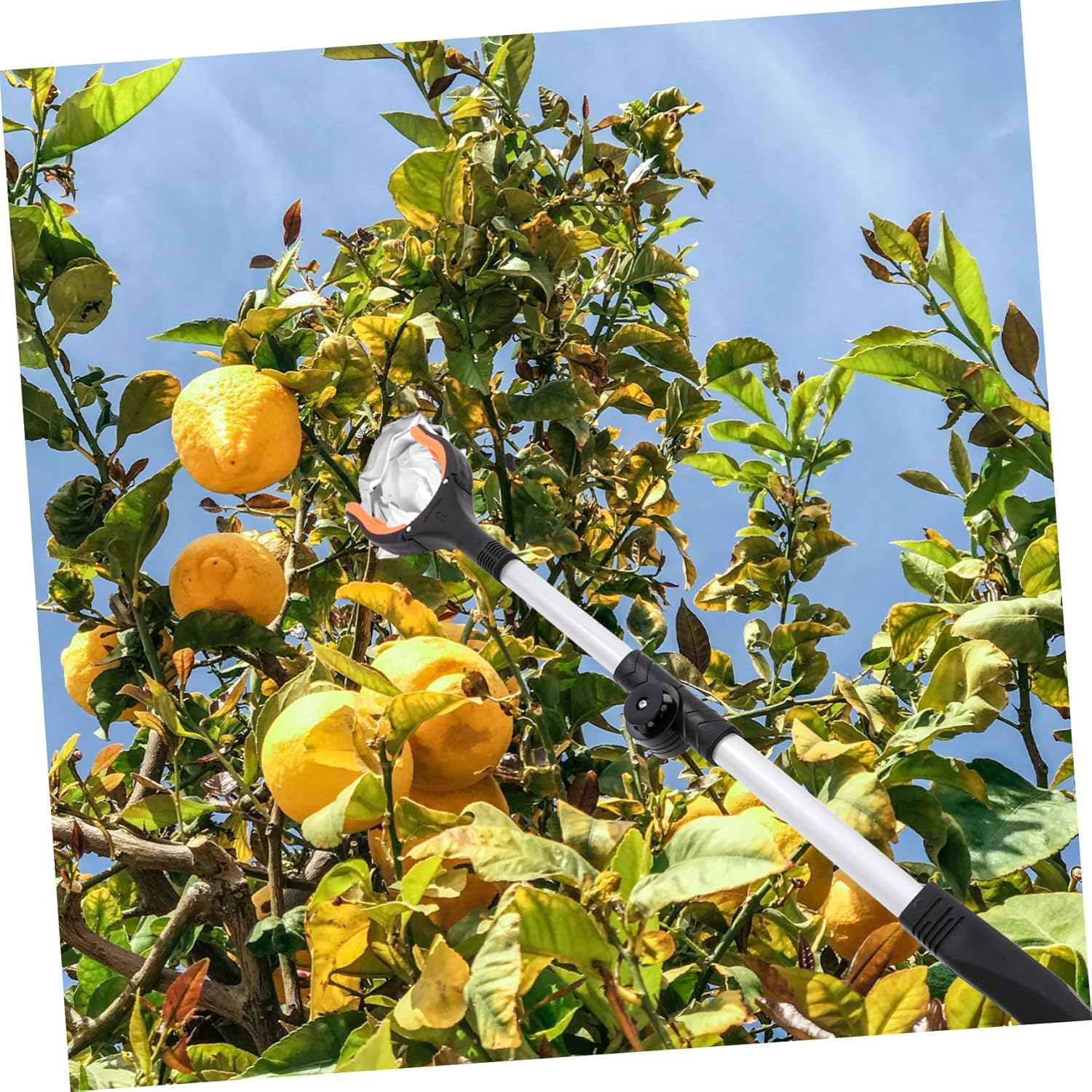 Foldable Trash Picker Grabber Tool with Ergonomic Non-Slip Handle Lightweight Aluminum Alloy and Abs Construction Household Cleaning Aid for Picking up Garbage Keys Coins Portable image number 3