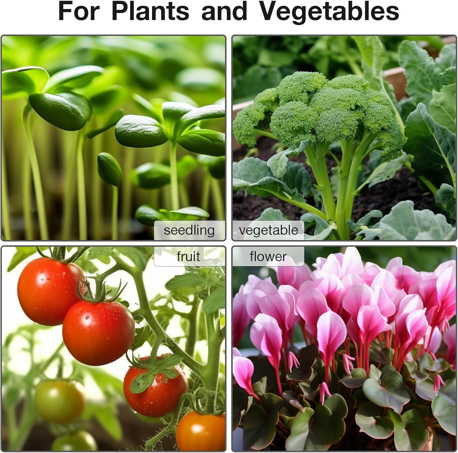 Mojimdo 50W Plant Heat Mat with Thermostat - Waterproof IP67, Fireproof V0, Energy Efficient Seedling Propagator & Warming Pad for Pets, Reptiles (25X52Cm) - 2 Pack image number 1