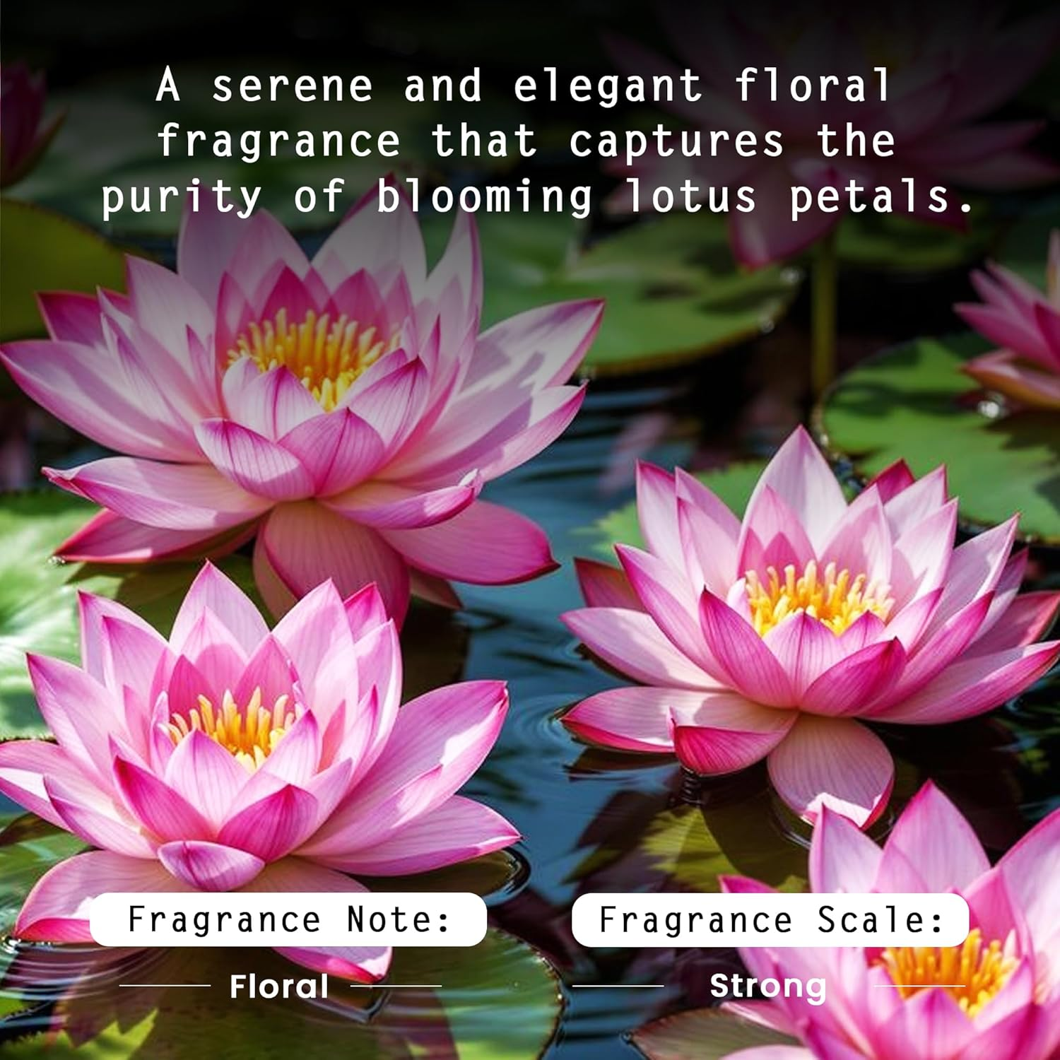 Nyassa Divine Lotus Handmade Soap with Natural Ingredients like Lotus Extracts and Almond Butter Floral Fragrance. No Paraben, Cruelty Free (150Gm) image number 3