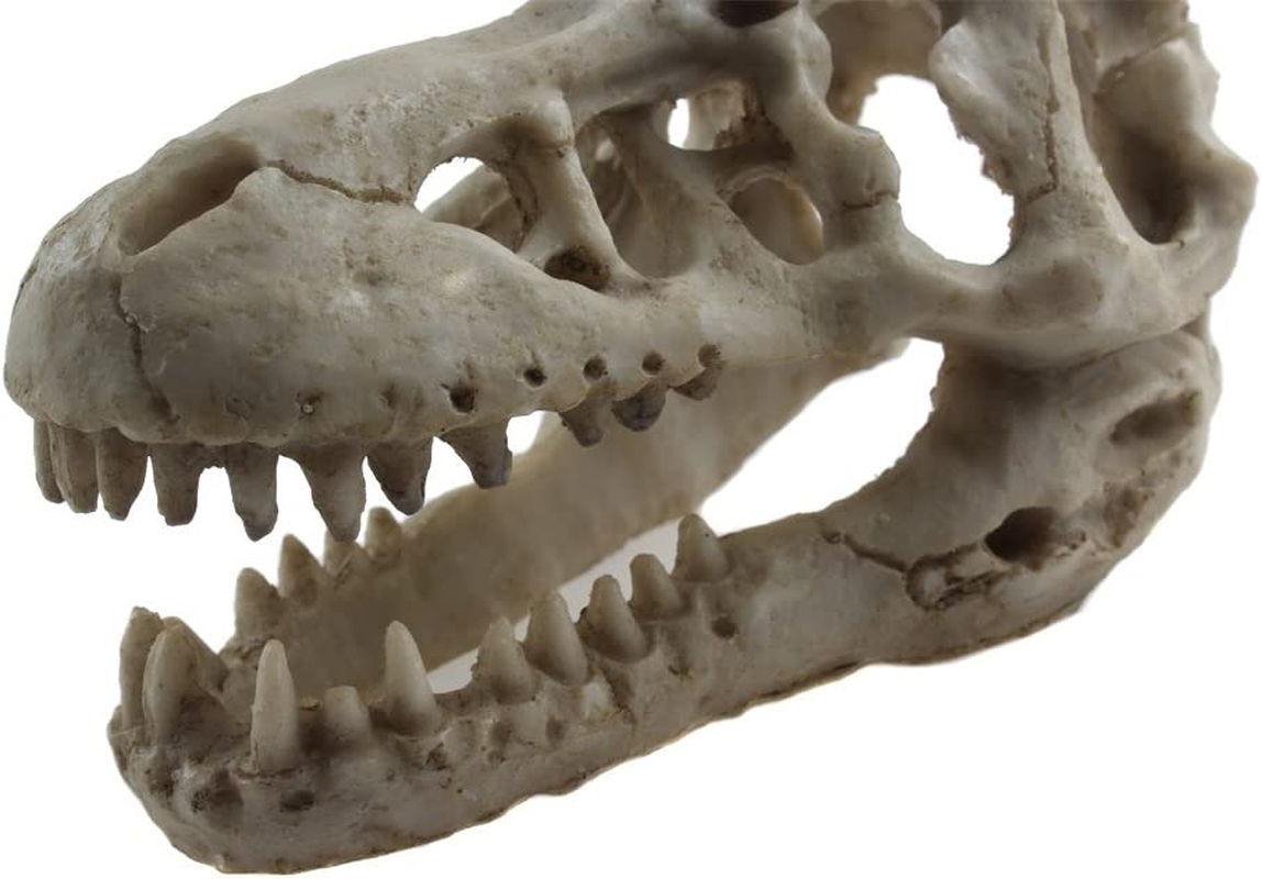 Emours Reptile Hideout Skull Vivarium Aquarium Fish Tank Ornament Cave Decoration image number 3