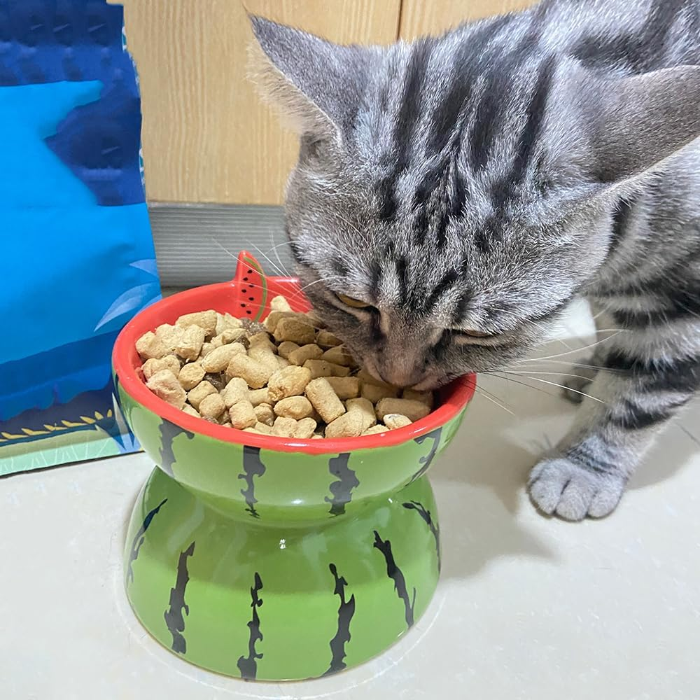 Raised Cat Food Bowls Ceramic Elevated Cat Bowl 5 Inches Wide Cat Bowls for Food and Water, Tilted Cat Dish for Flat Faced Cats and Kitten, Cat Feeding Bowl Dishwasher Safe (Watermelon) image number 4